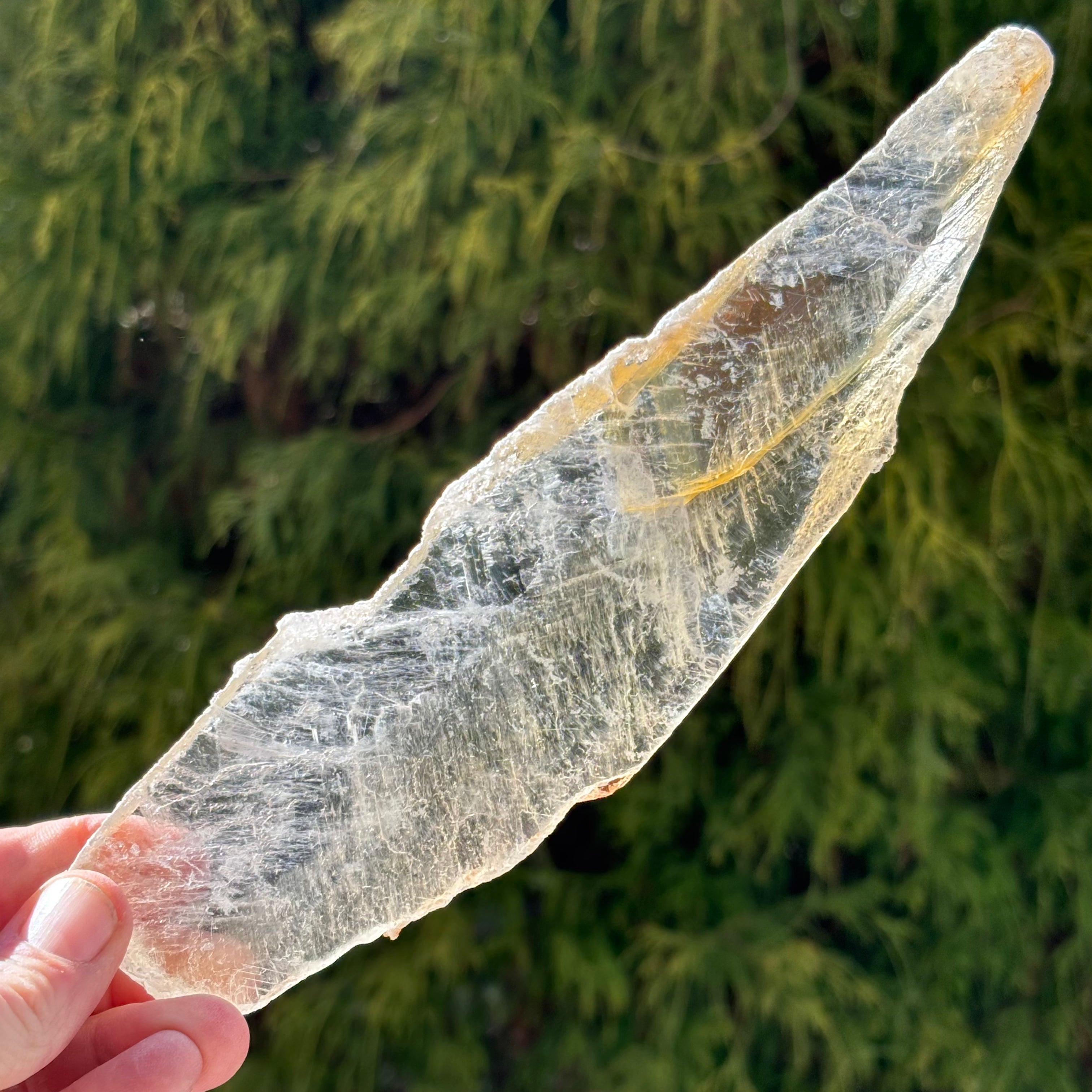 Golden Selenite Window - 543