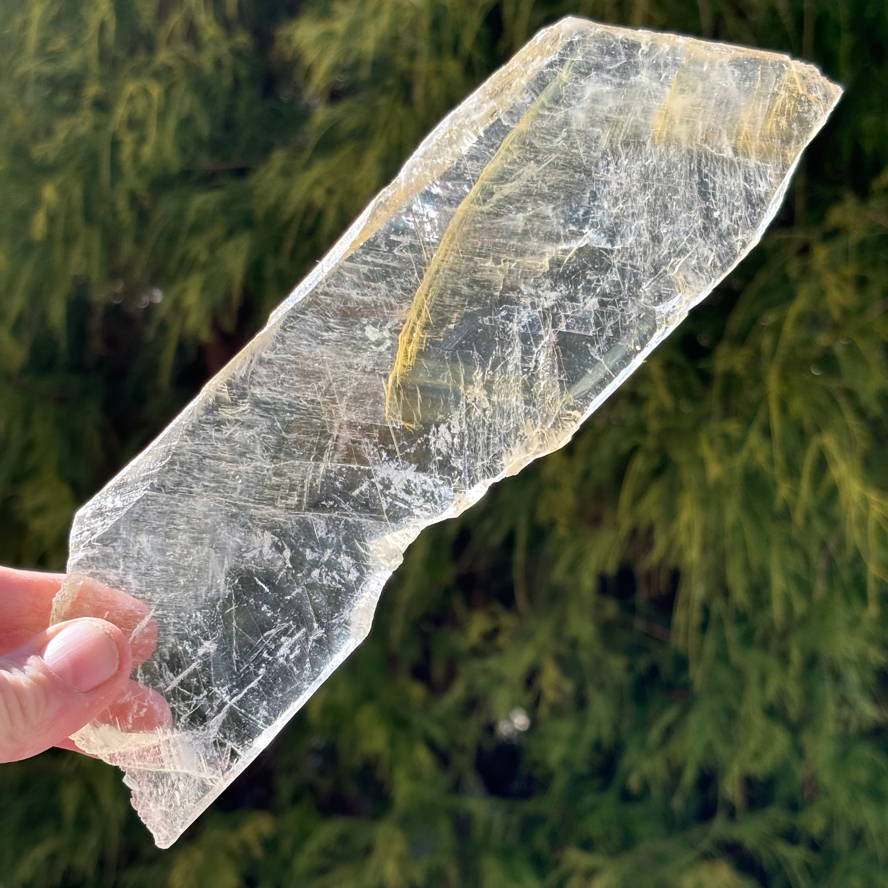 Golden Selenite Window - 545