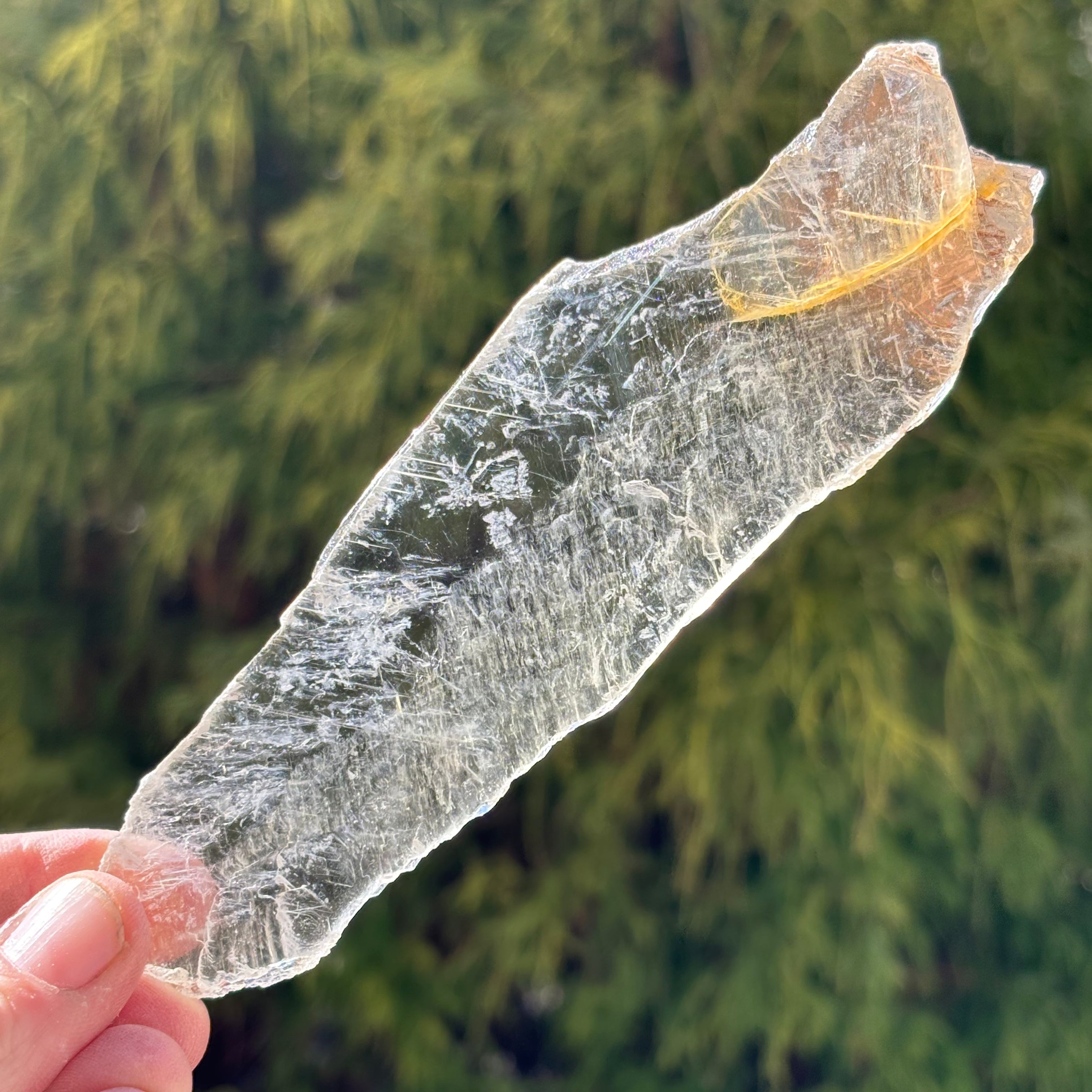 Golden Selenite Window - 549