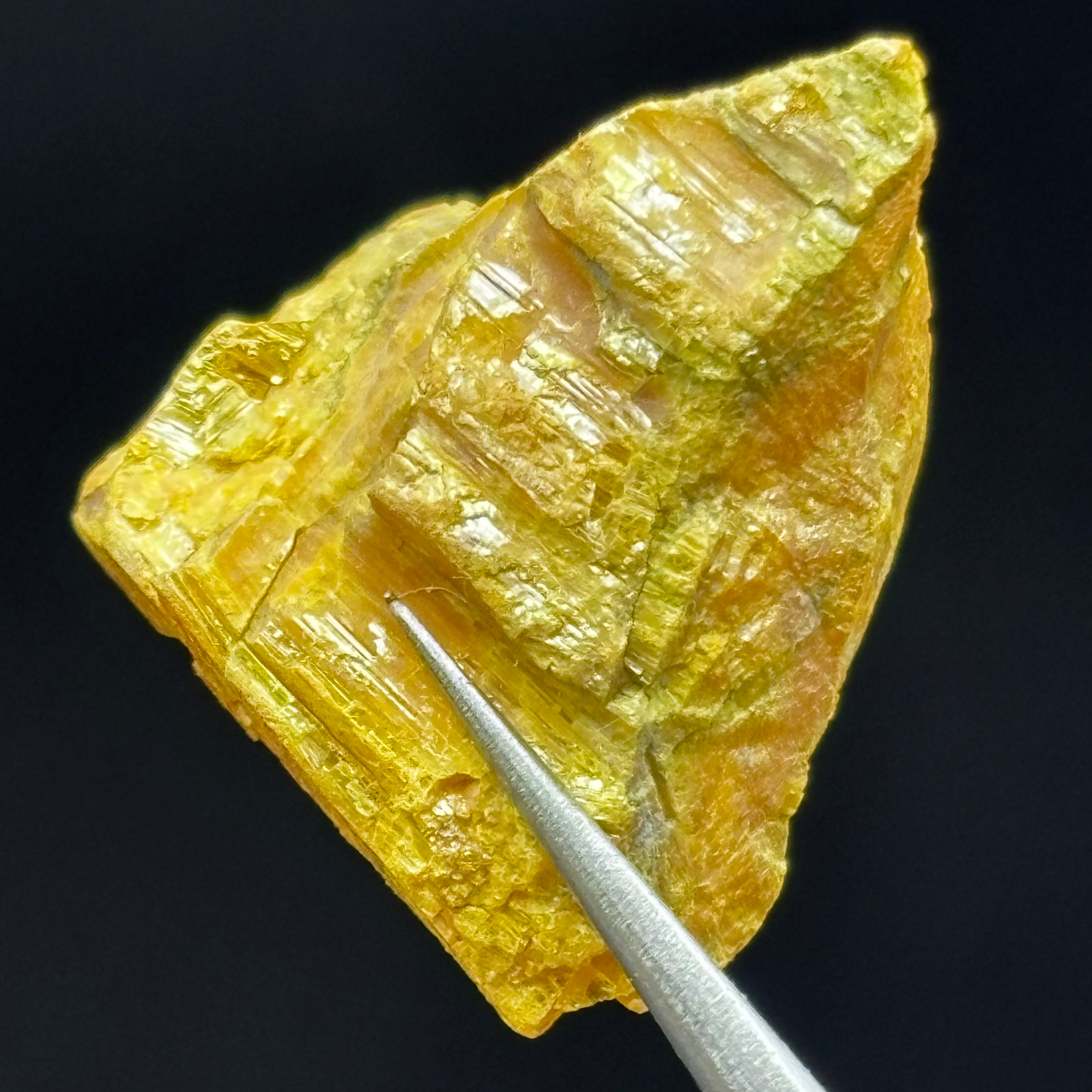 Siberian Orpiment - 072