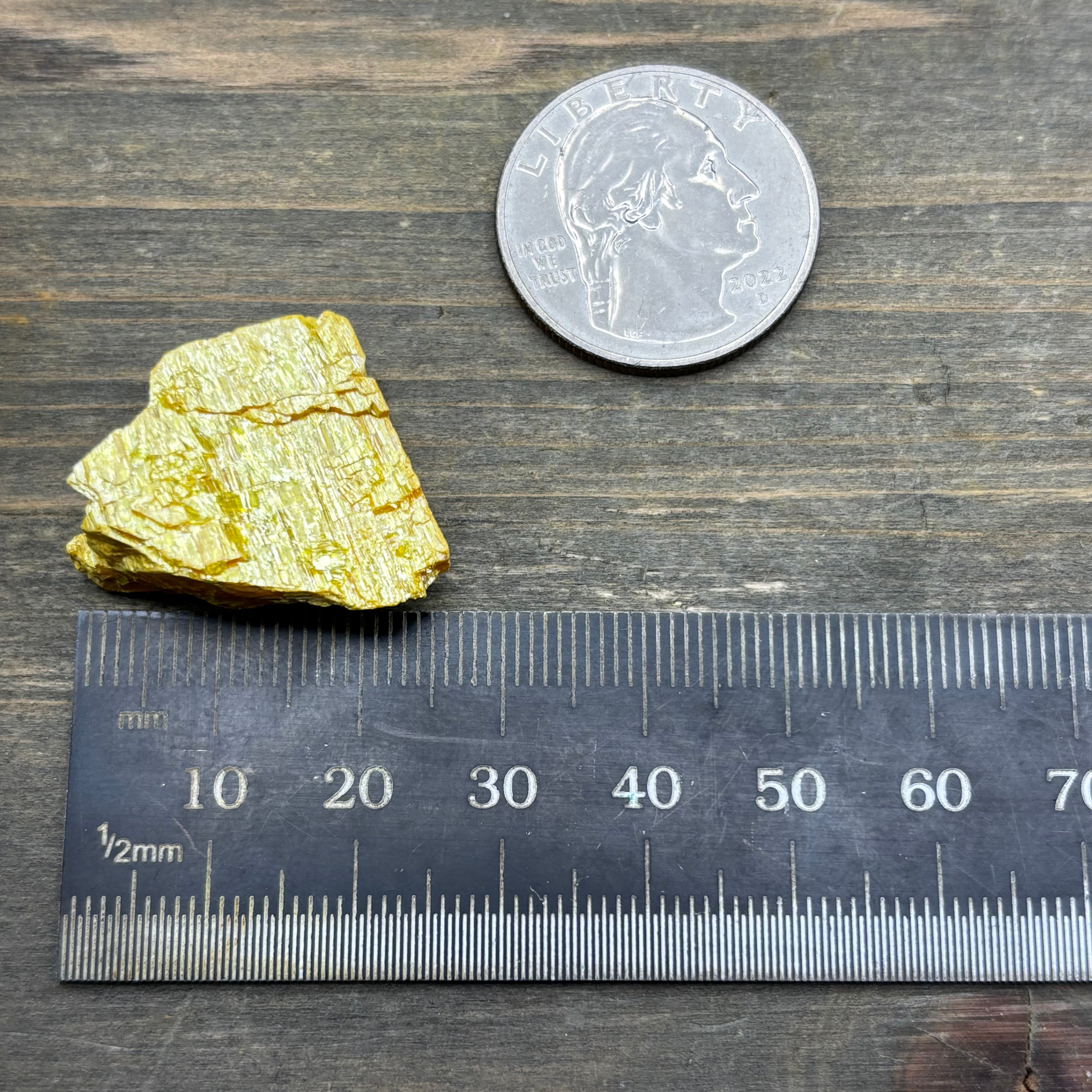Siberian Orpiment - 072