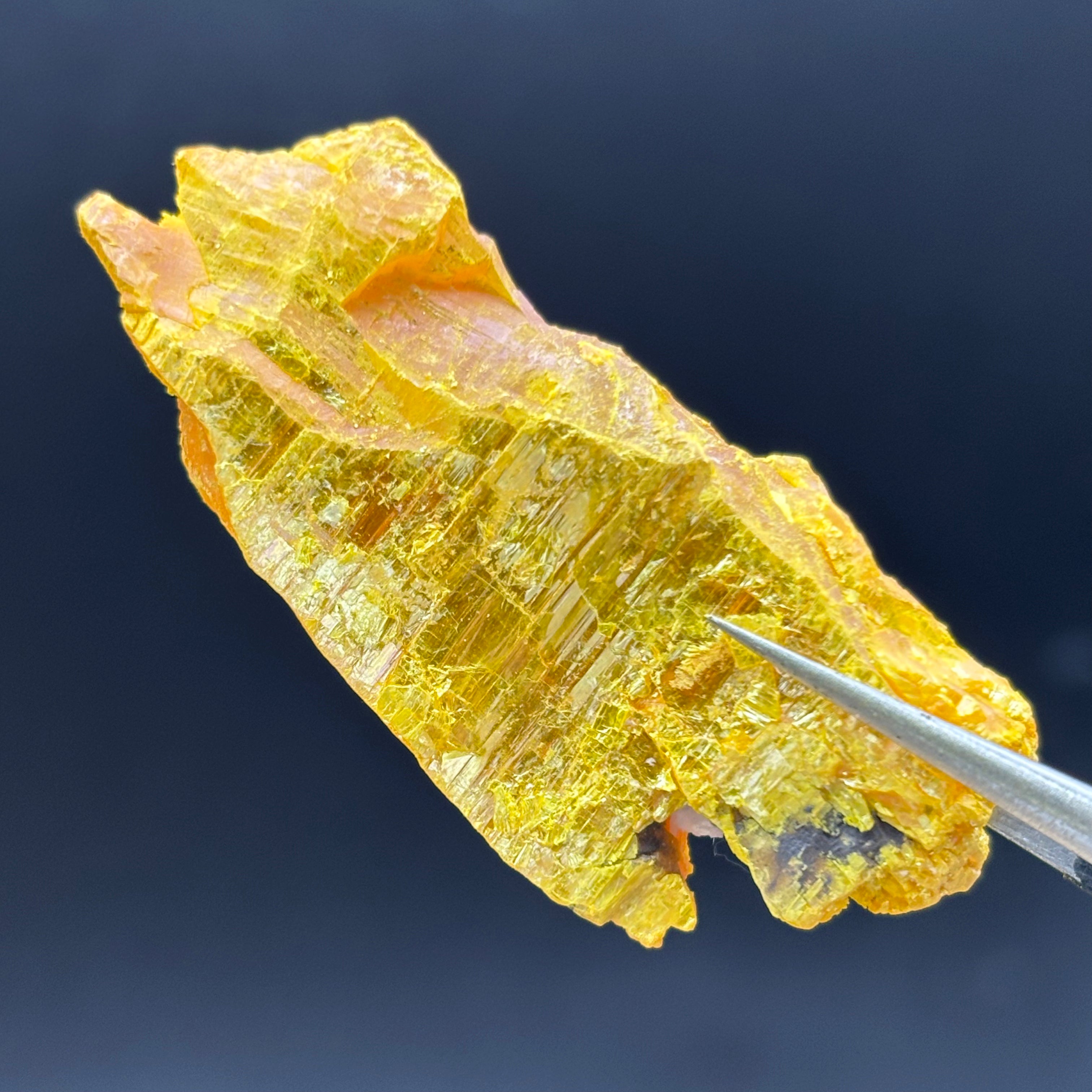 Siberian Orpiment - 073