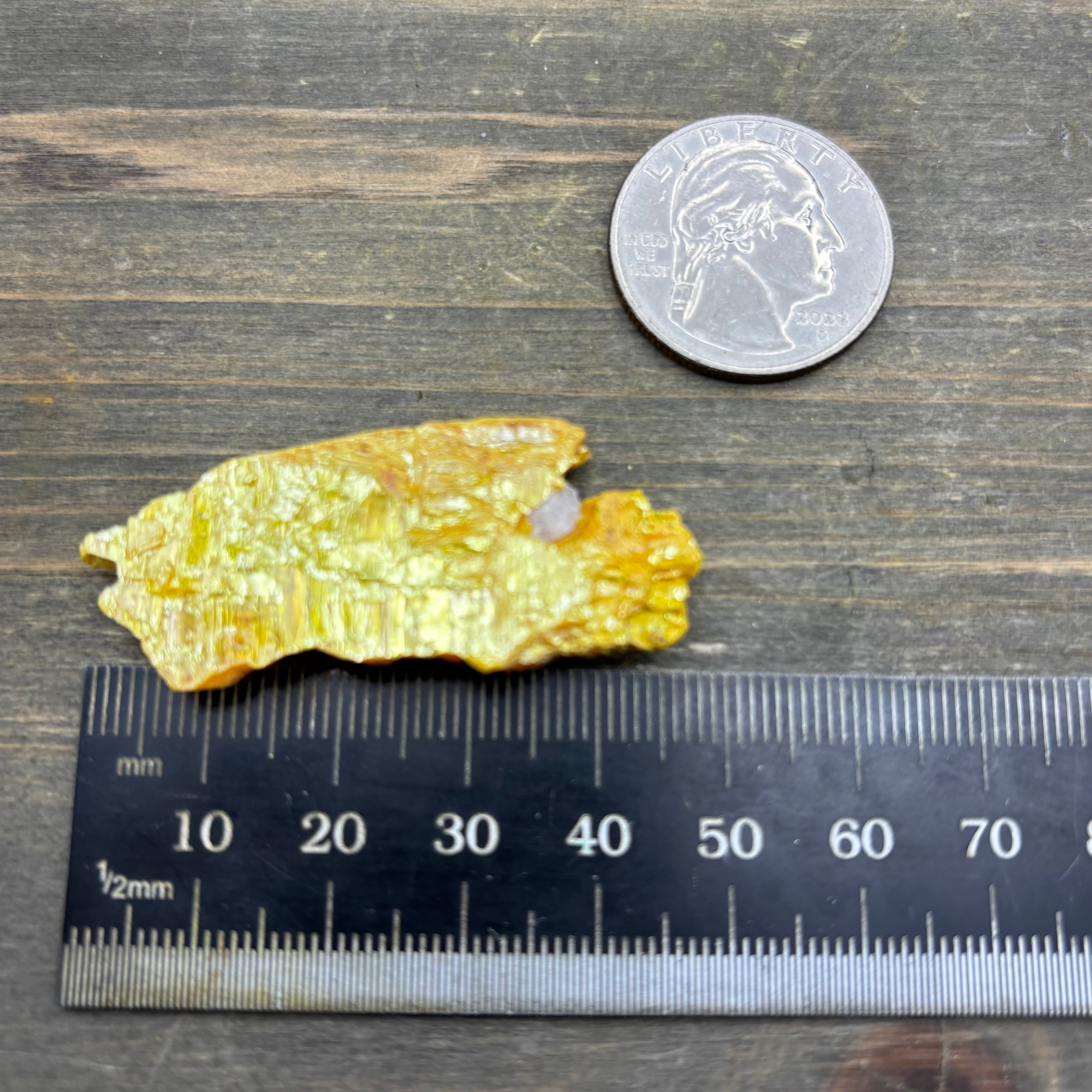 Siberian Orpiment - 073