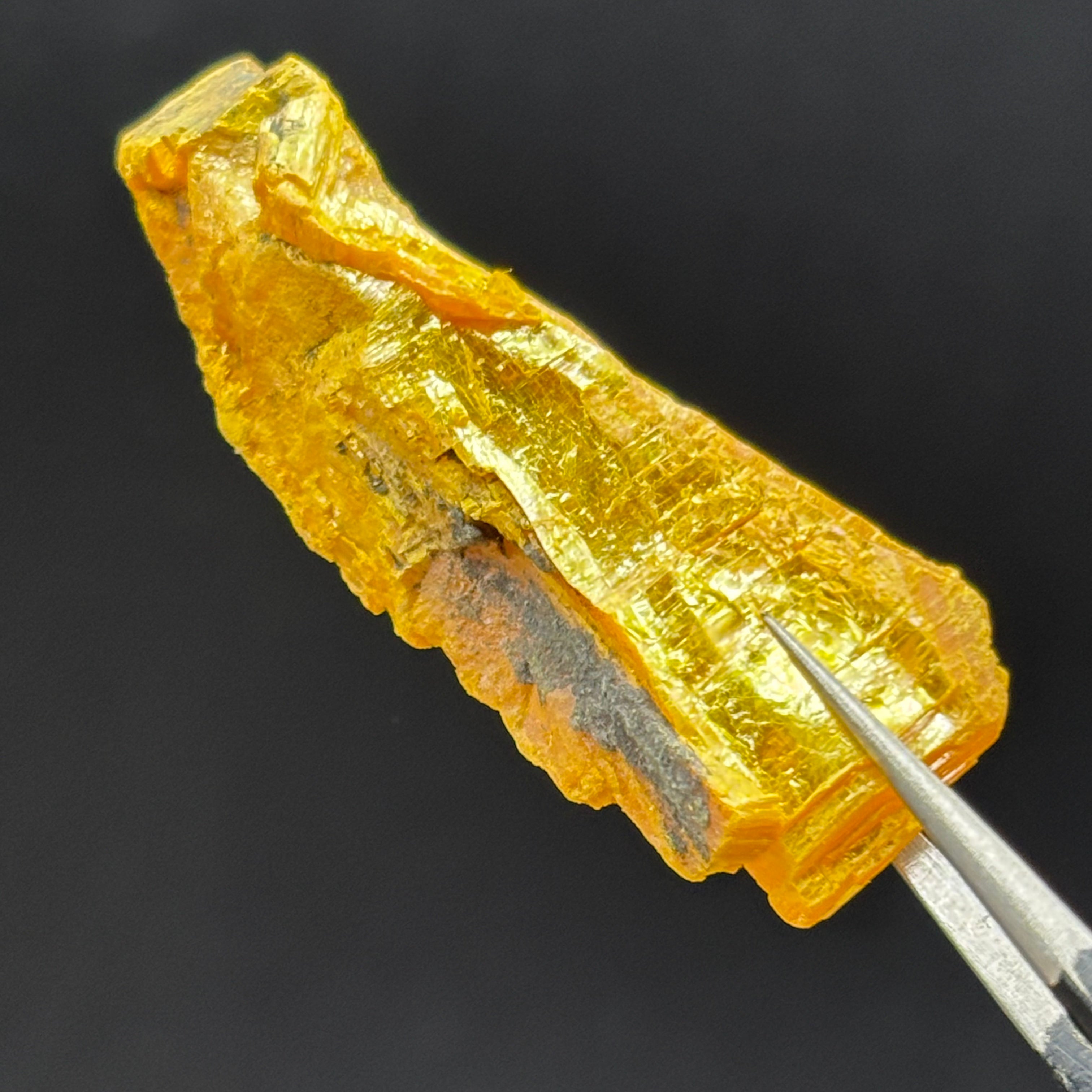 Siberian Orpiment - 074