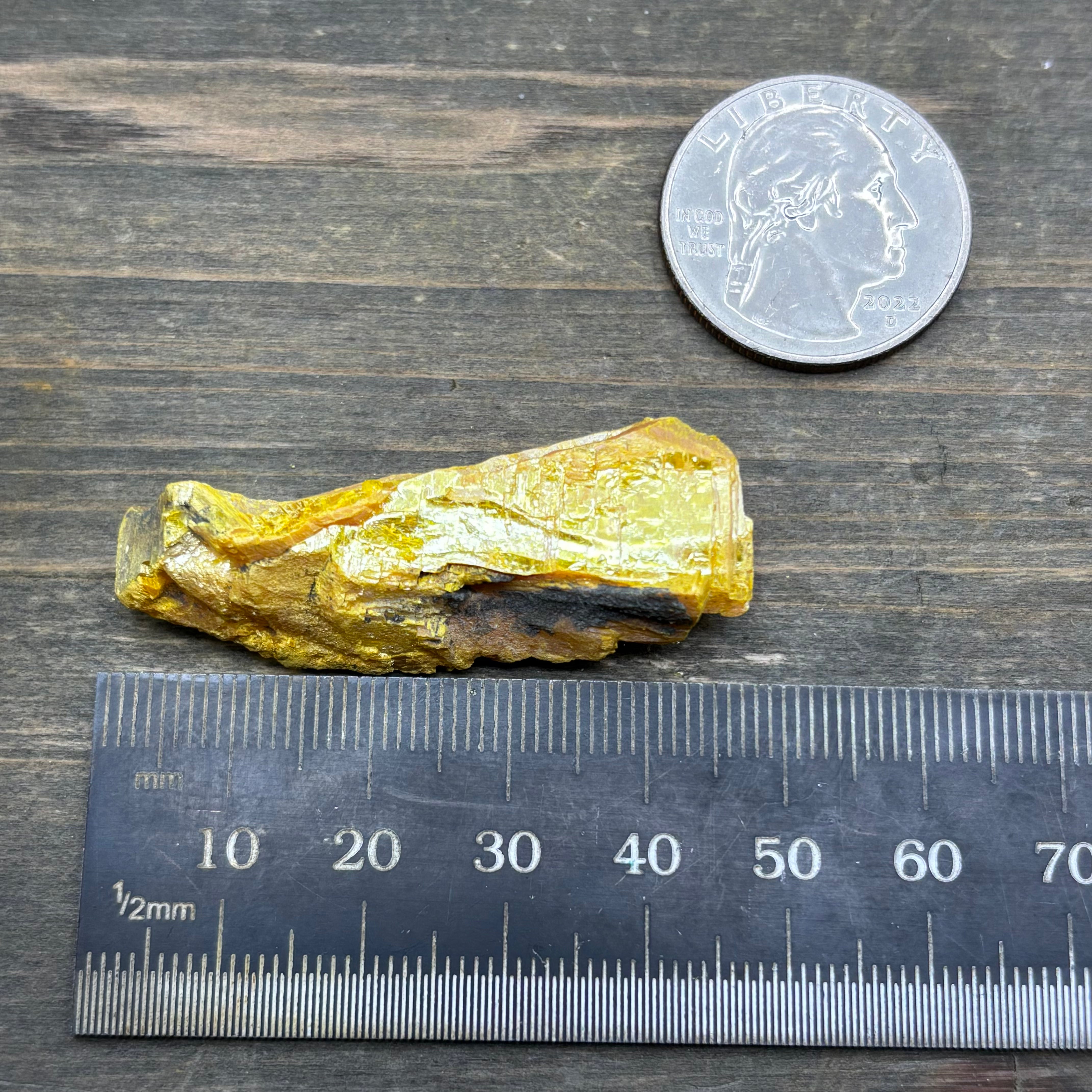 Siberian Orpiment - 074
