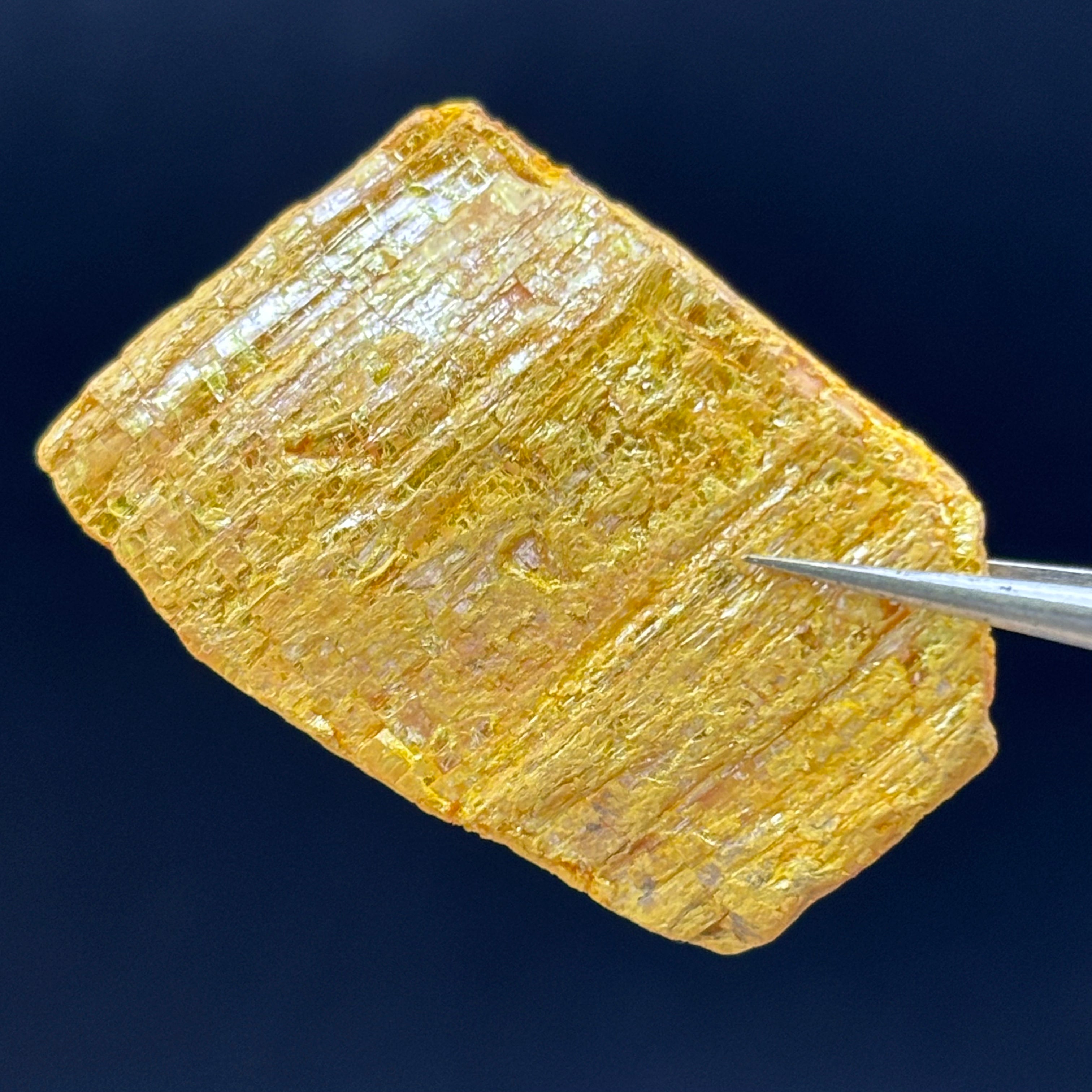 Siberian Orpiment - 075