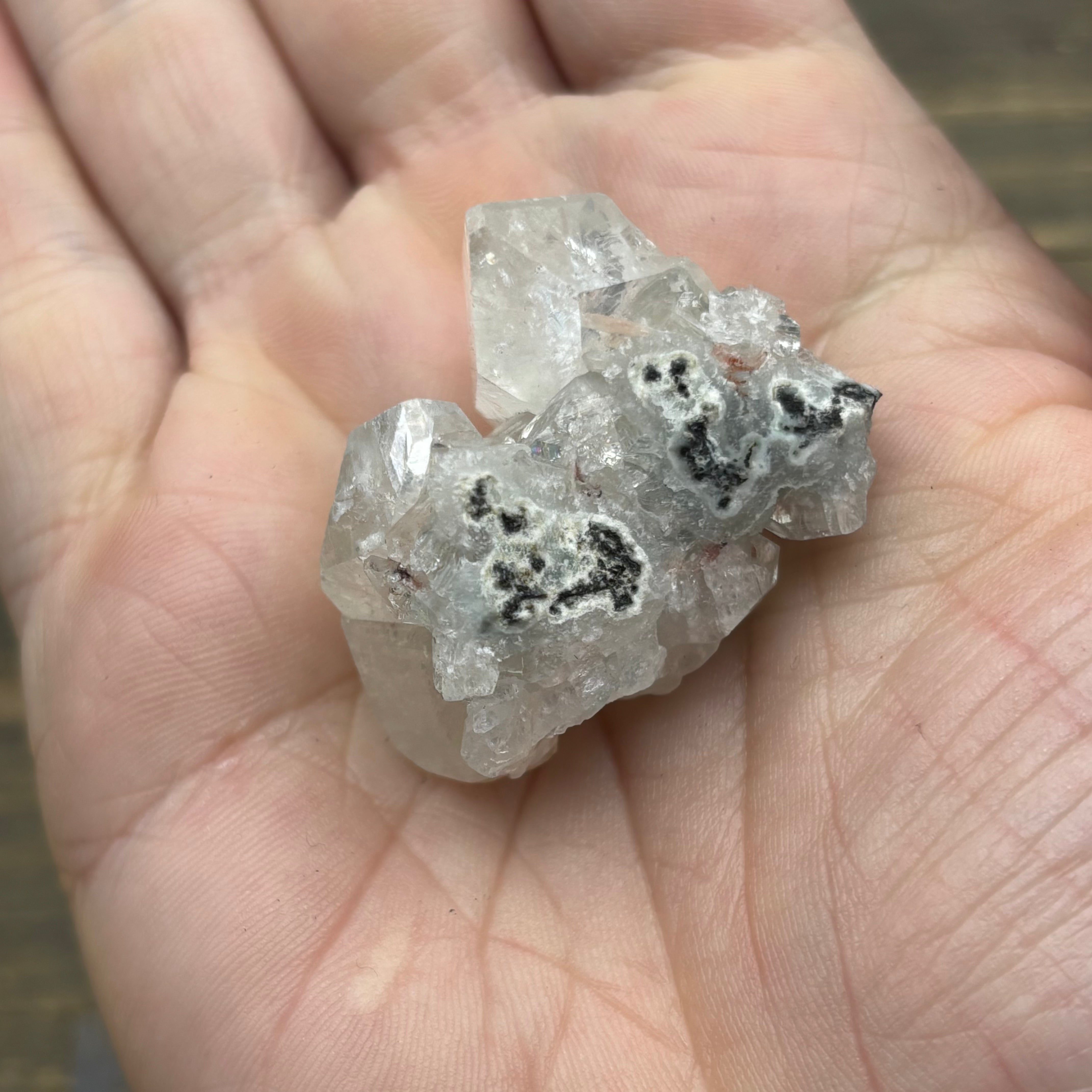Apophyllite Crystal - 792