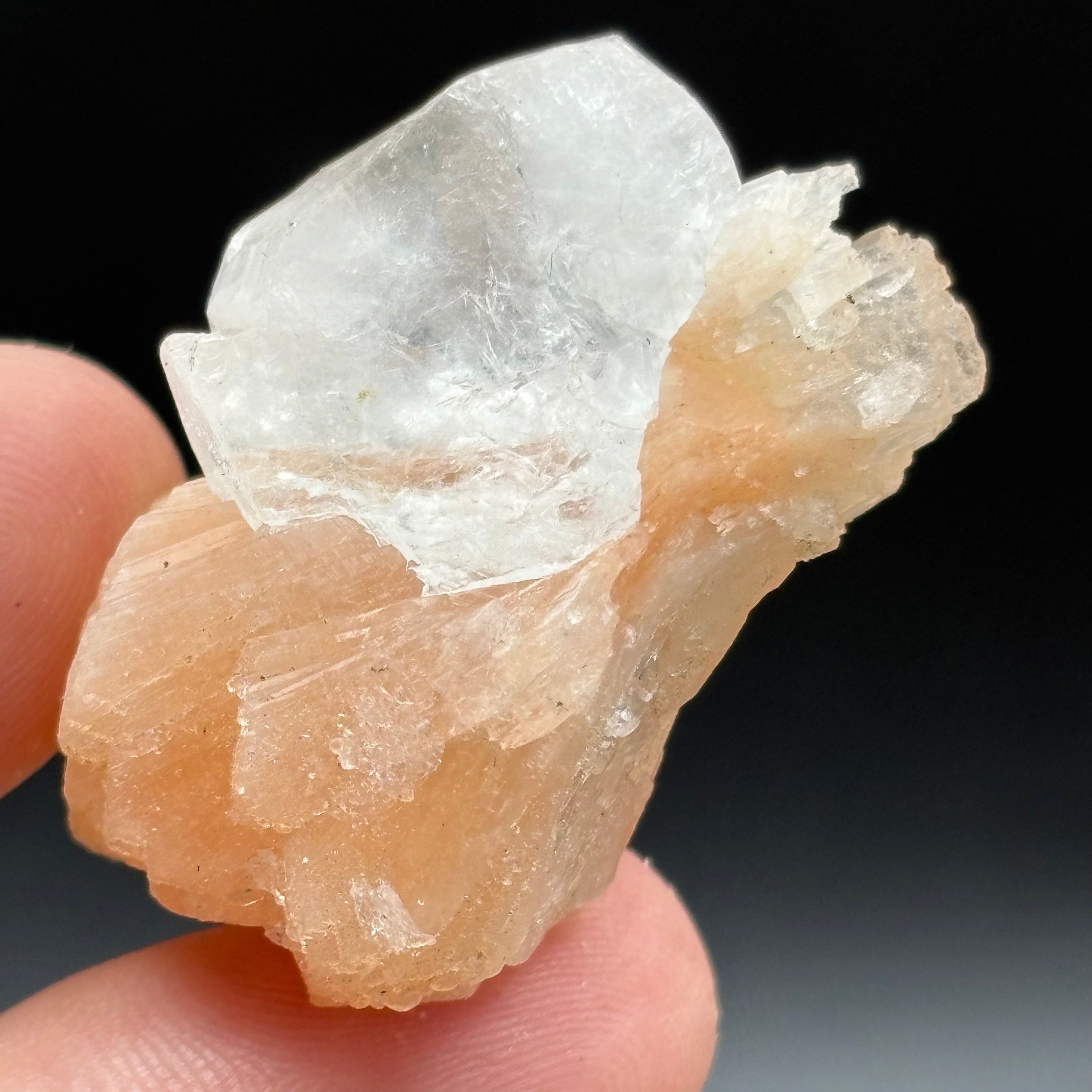 Apophyllite Crystal - 809