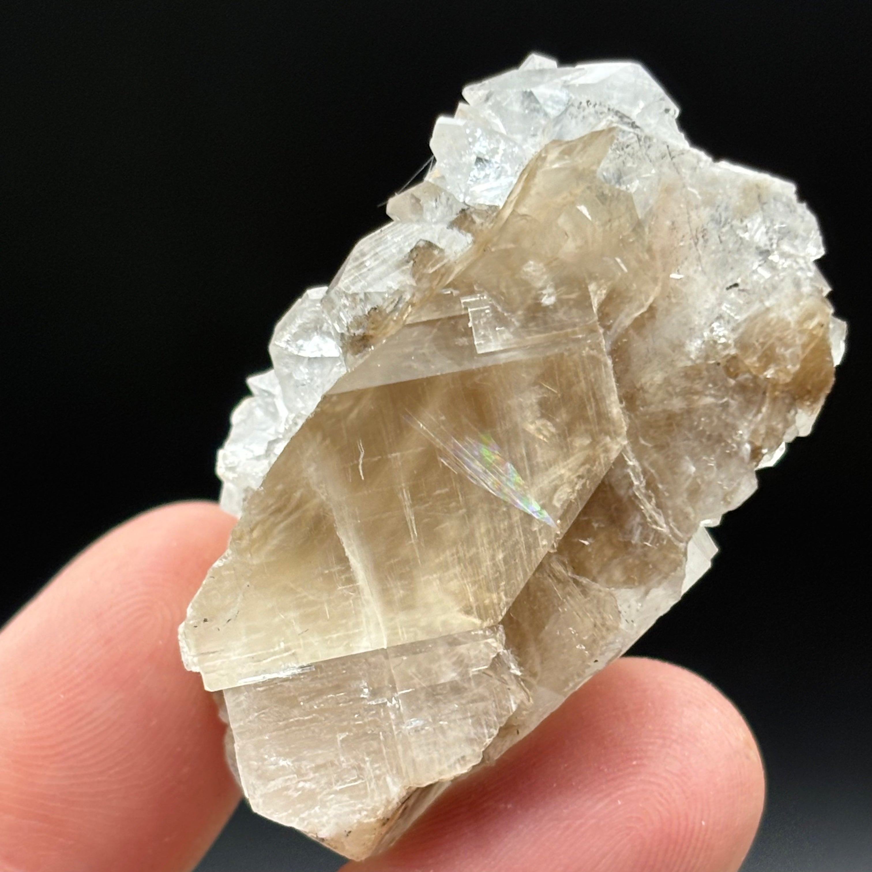 Apophyllite Crystal - 810
