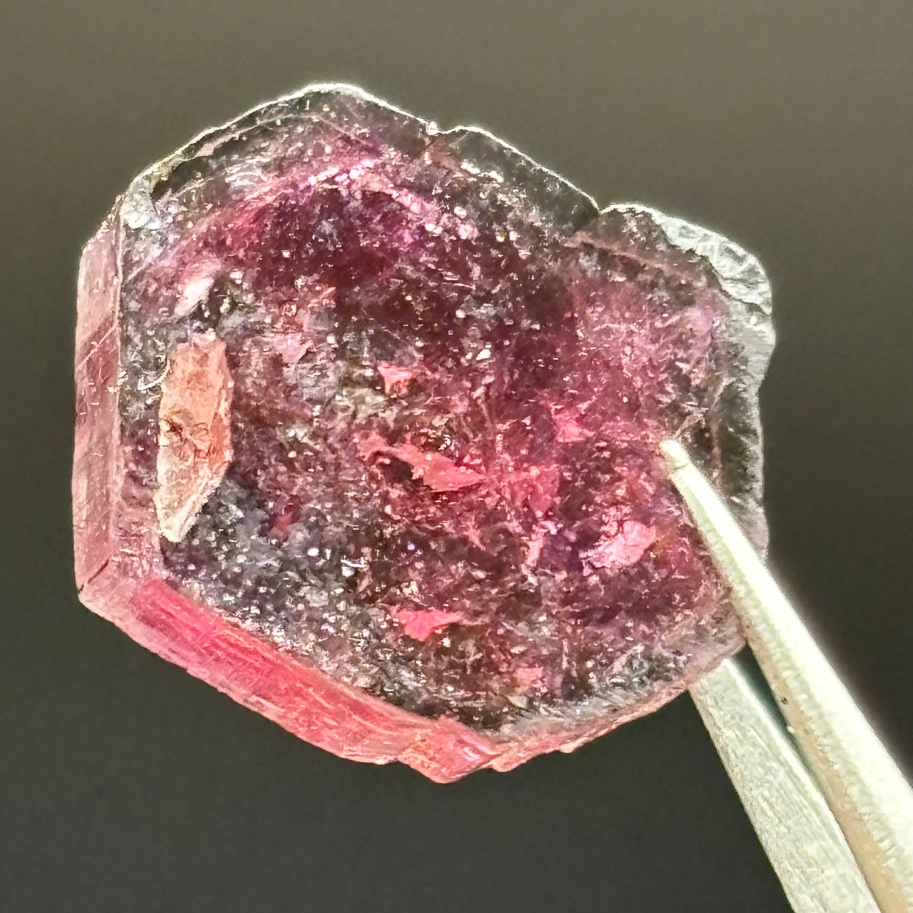 Watermelon Tourmaline Crystal Slice - 012