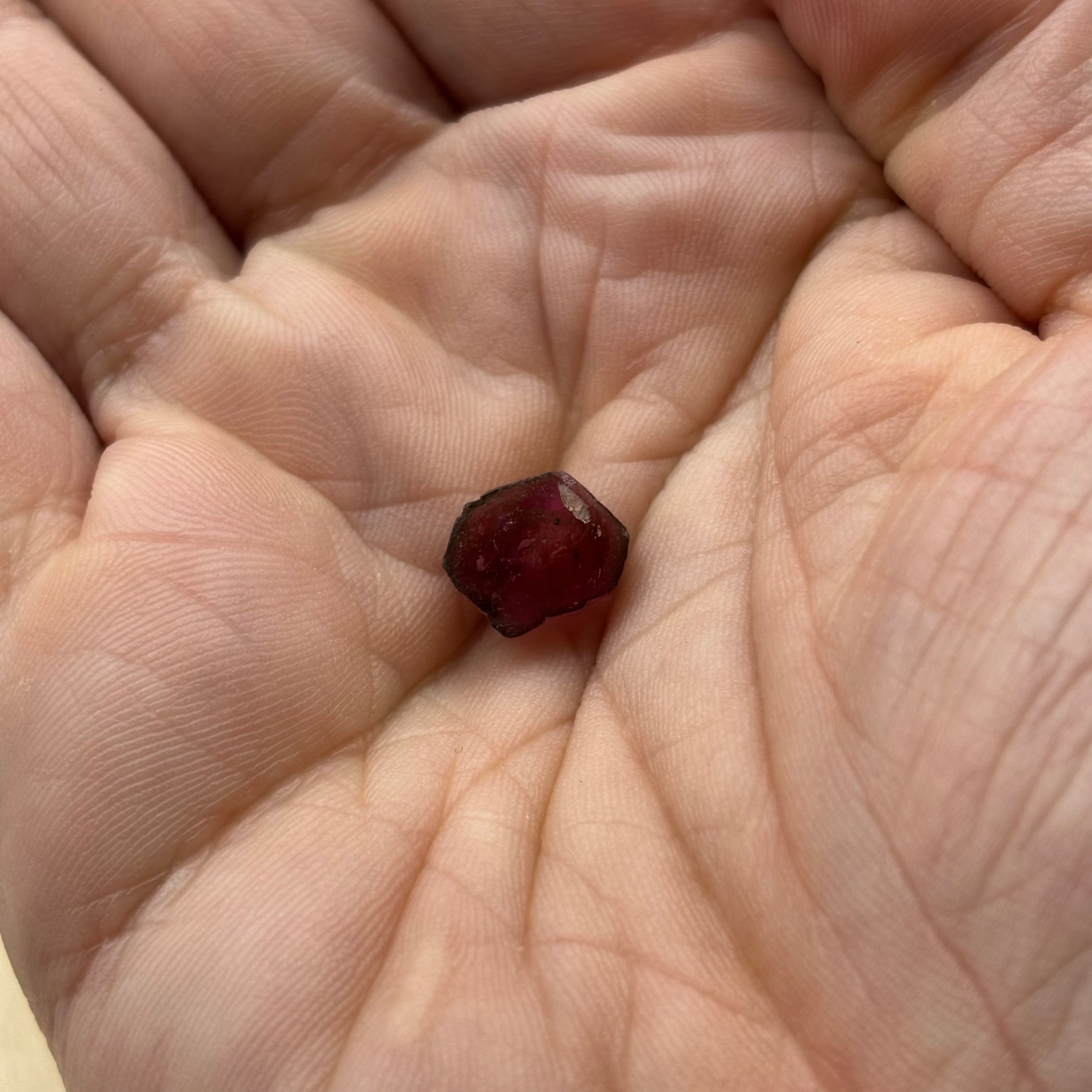 Watermelon Tourmaline Crystal Slice - 012