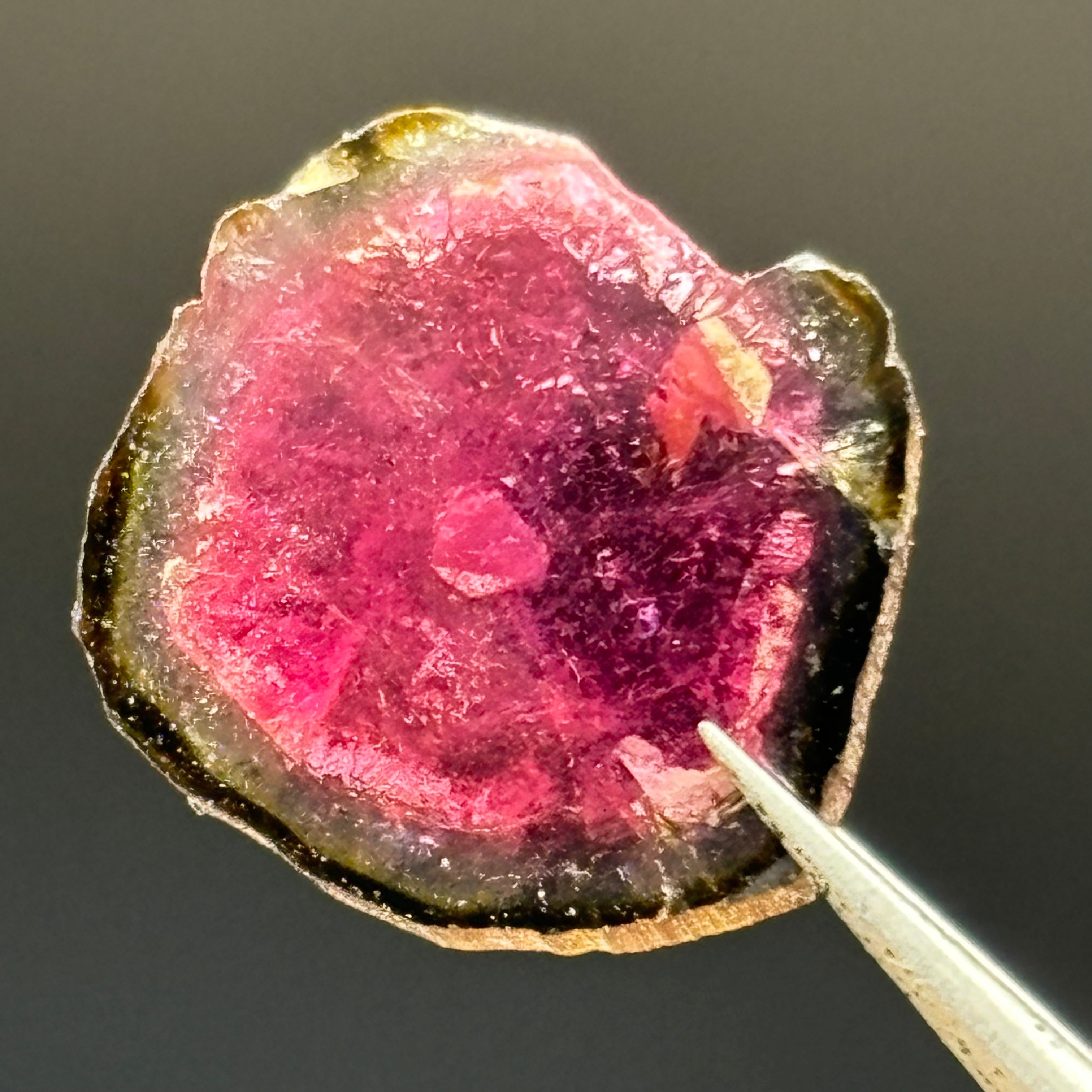 Watermelon Tourmaline Crystal Slice - 014