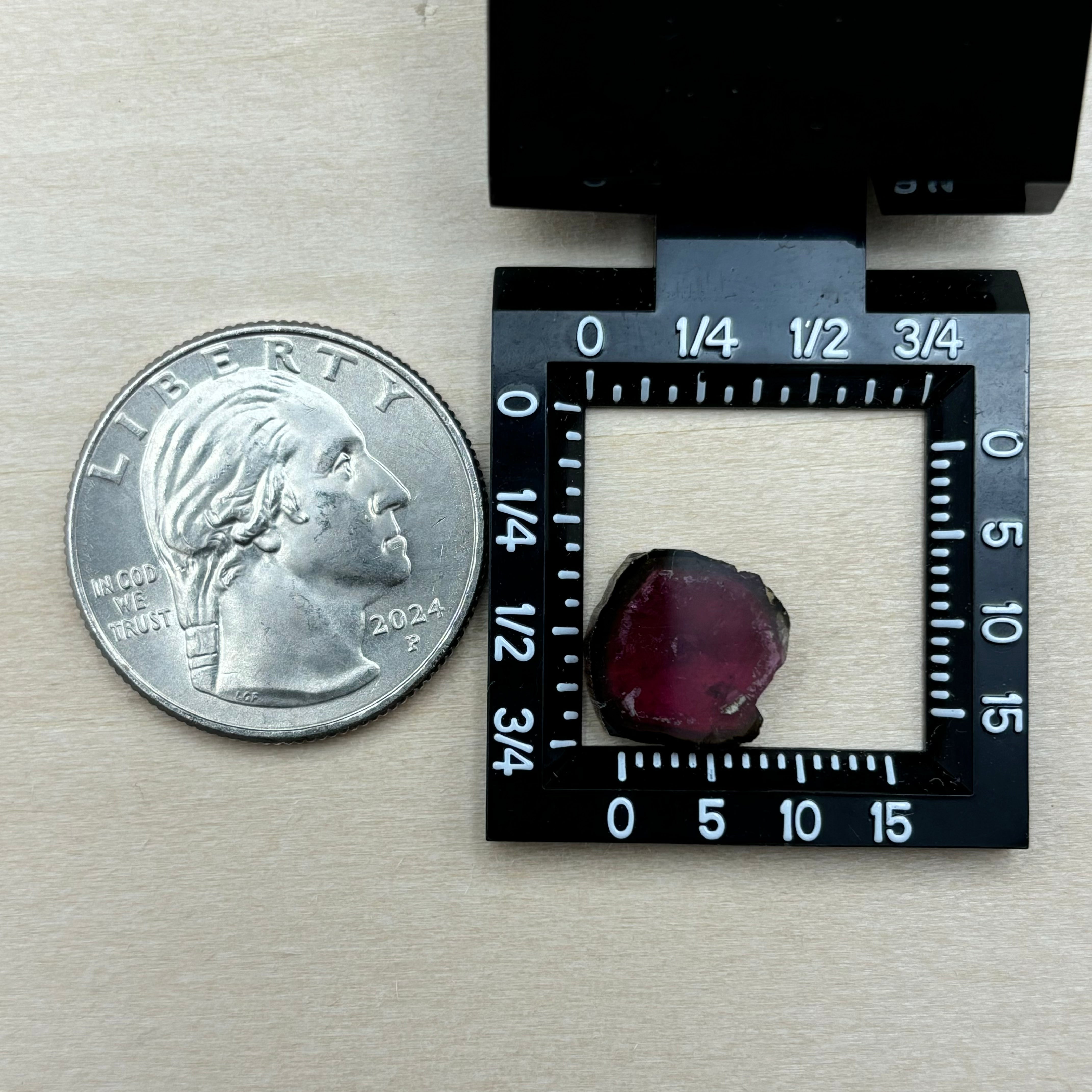 Watermelon Tourmaline Crystal Slice - 014