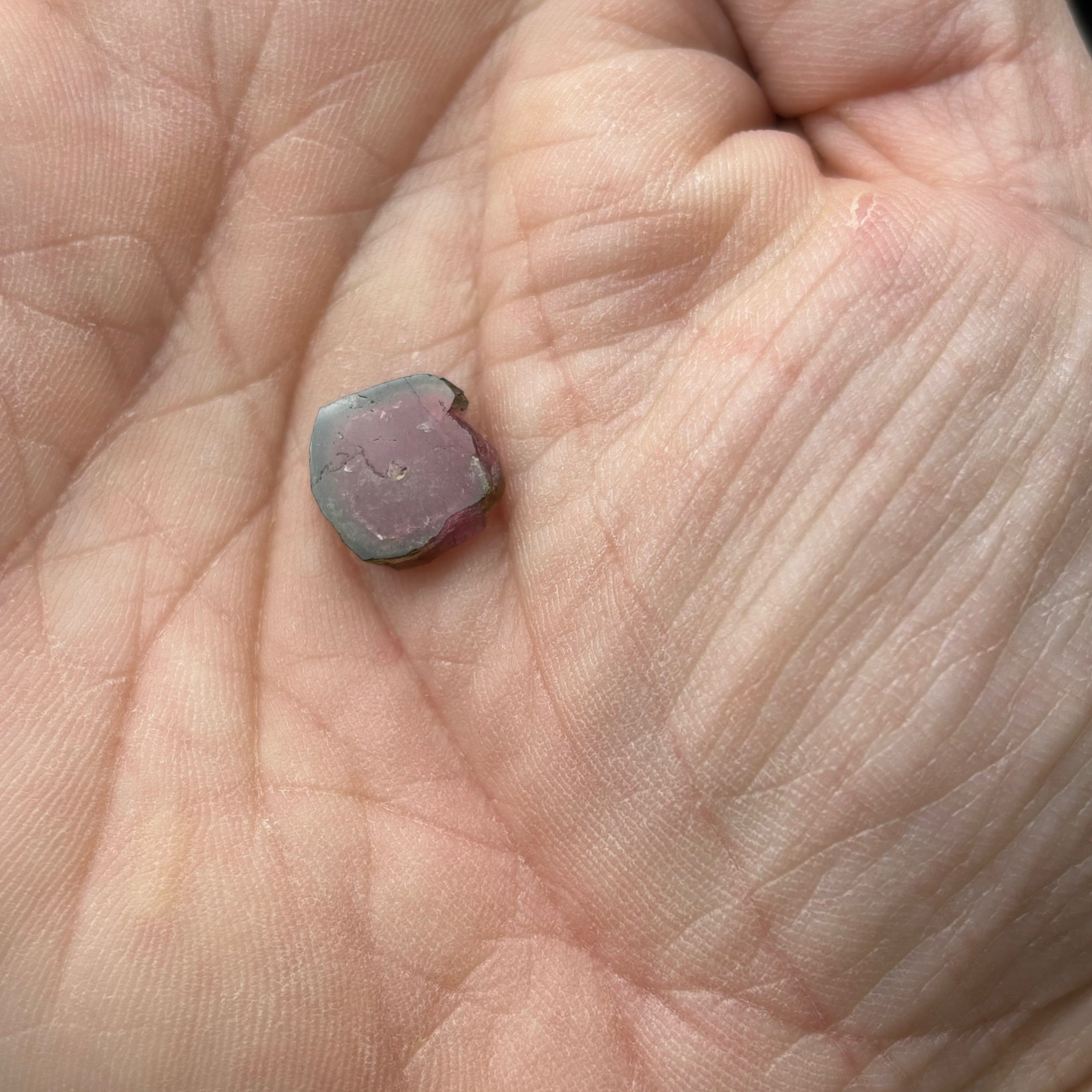 Watermelon Tourmaline Crystal Slice - 014