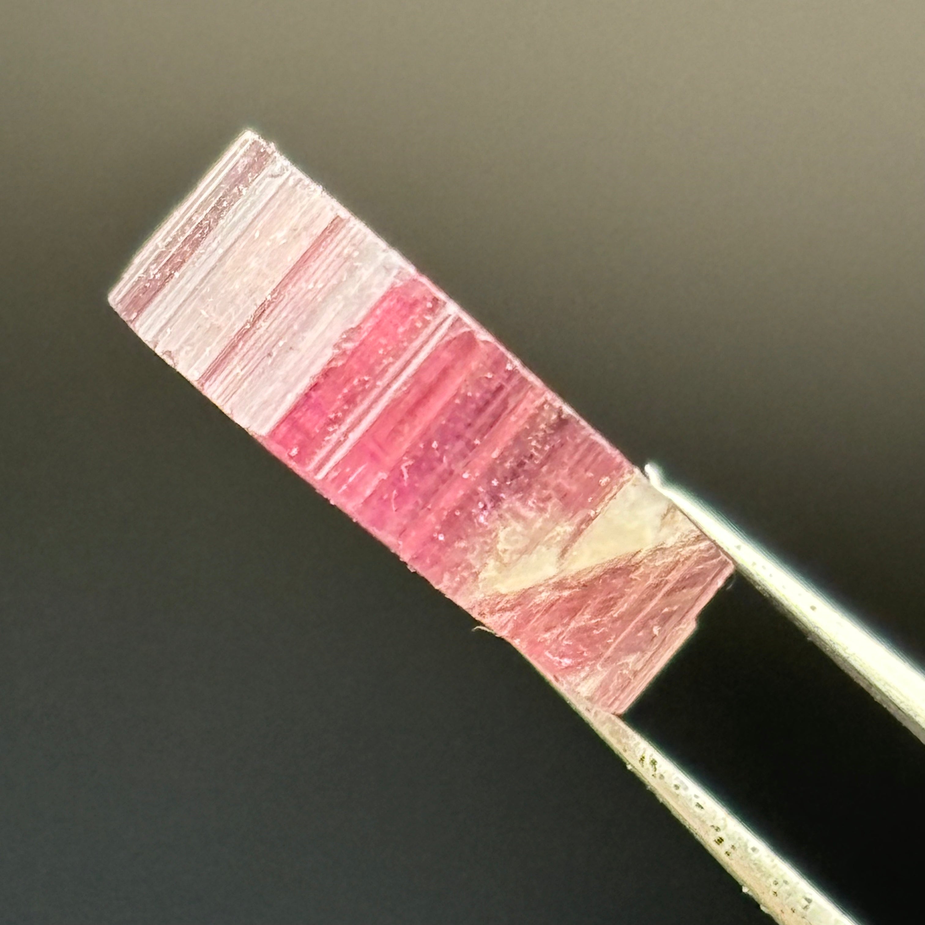 Watermelon Tourmaline Crystal Slice - 015