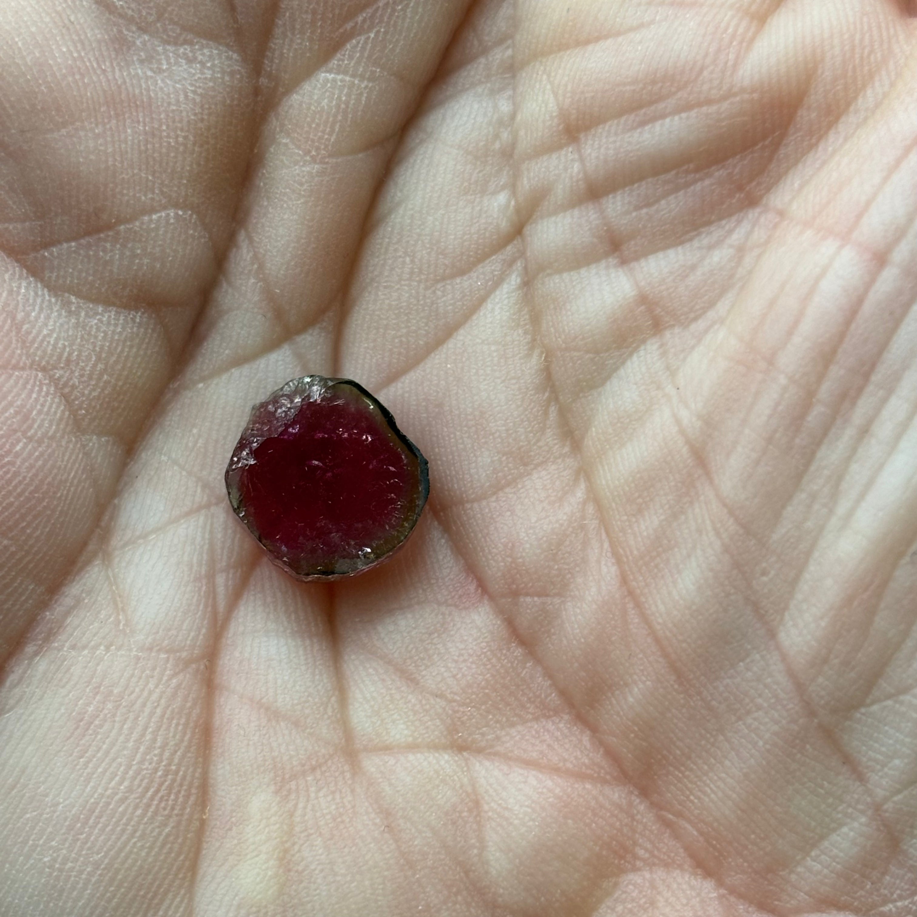Watermelon Tourmaline Crystal Slice - 017