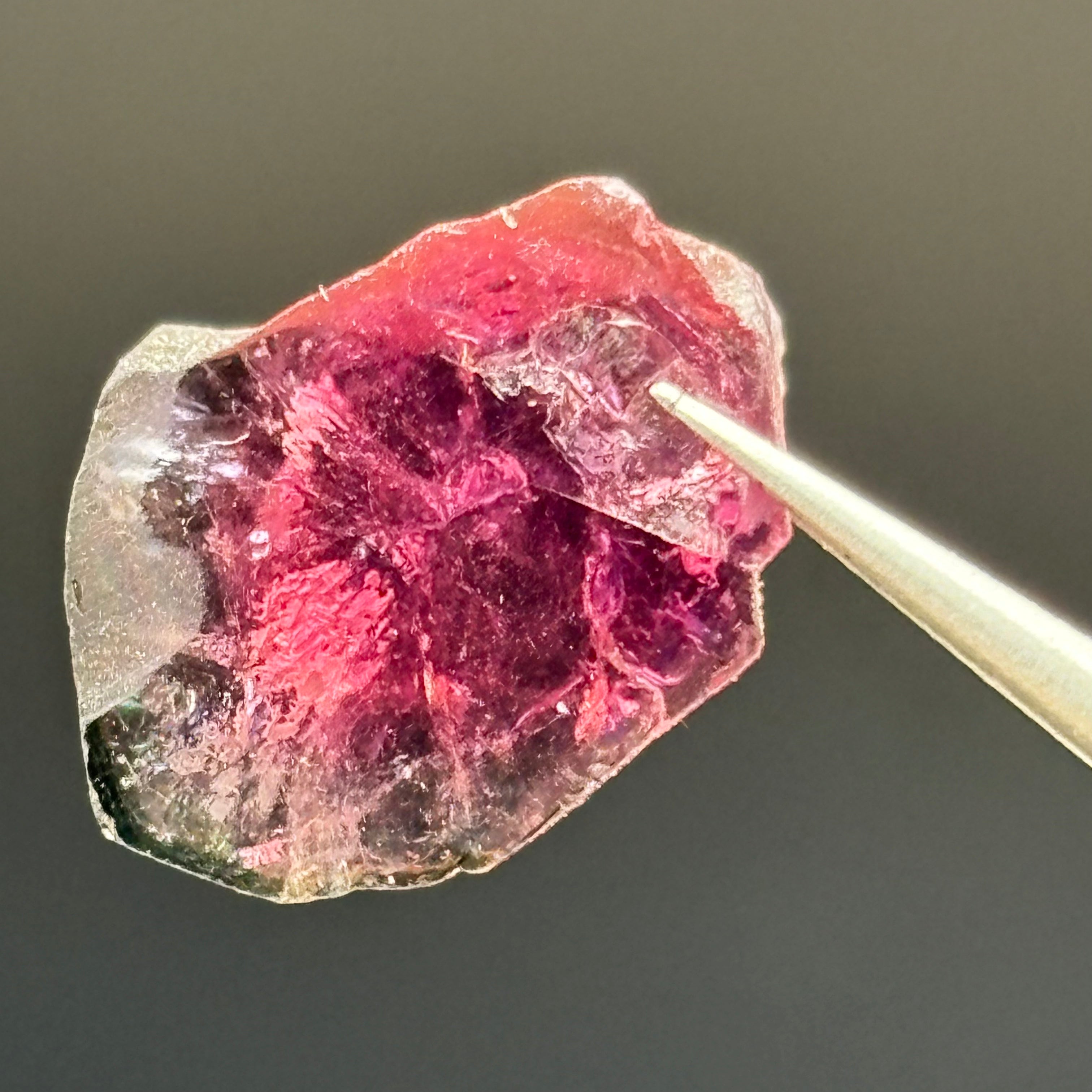 Watermelon Tourmaline Crystal Slice - 017