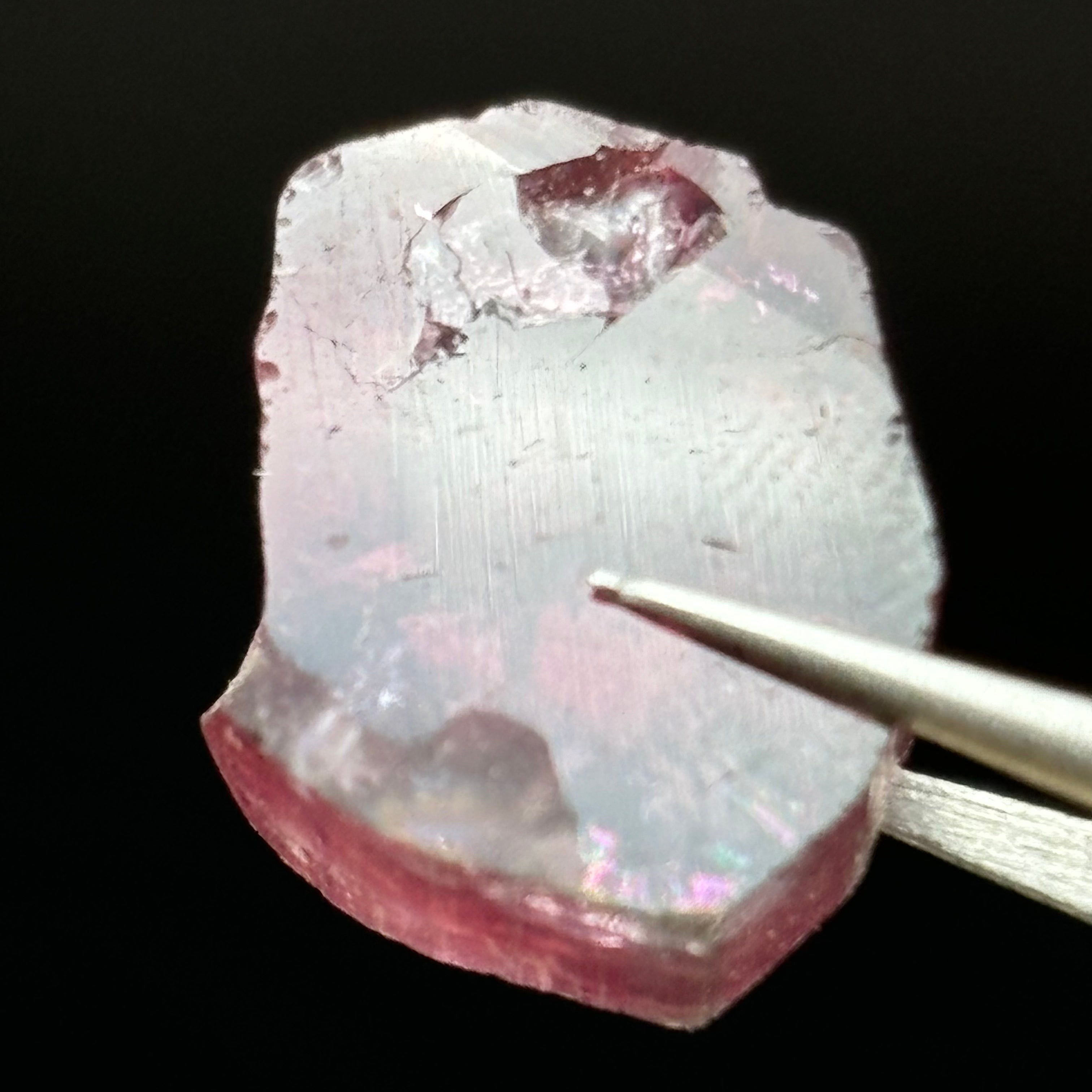 Watermelon Tourmaline Crystal Slice - 017