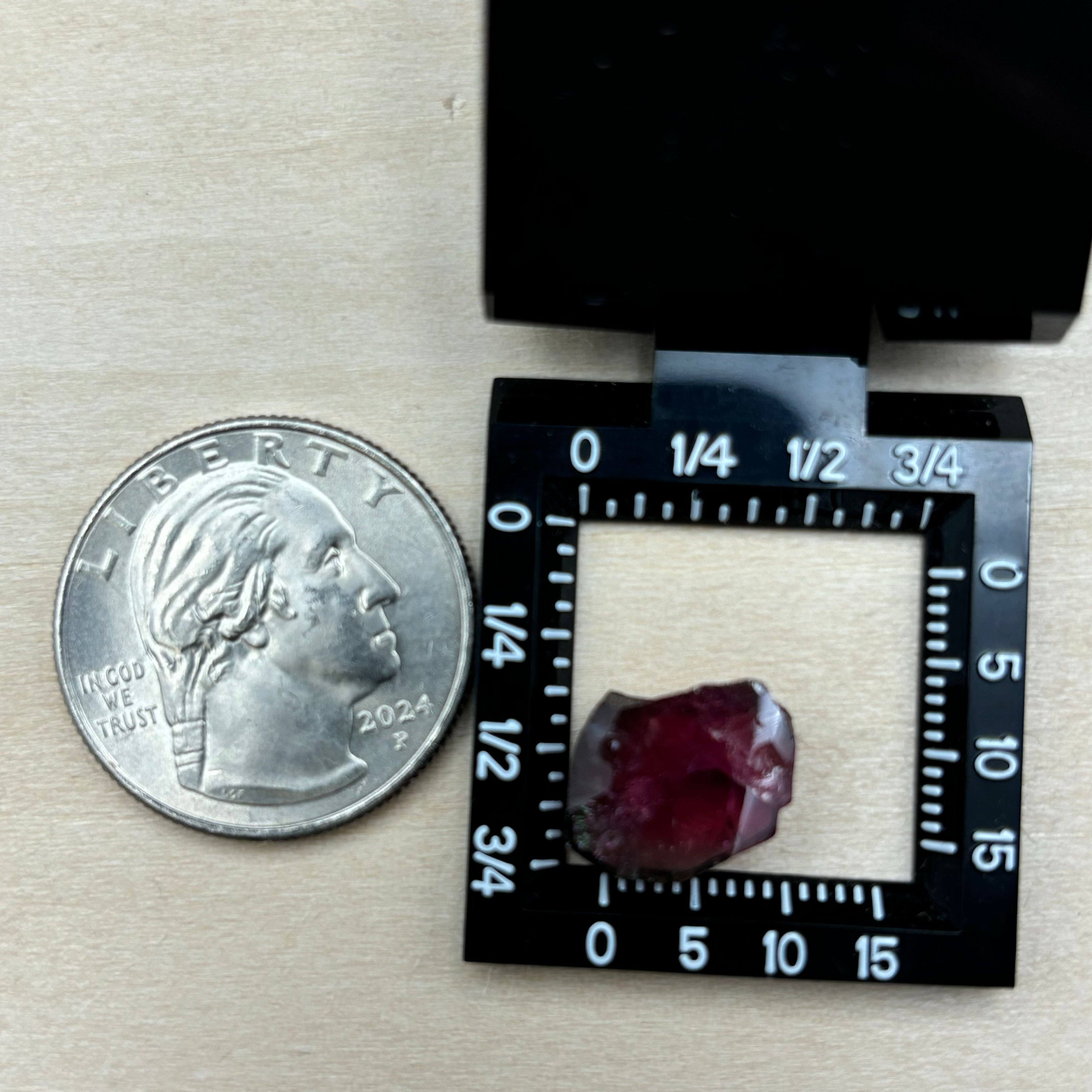 Watermelon Tourmaline Crystal Slice - 017