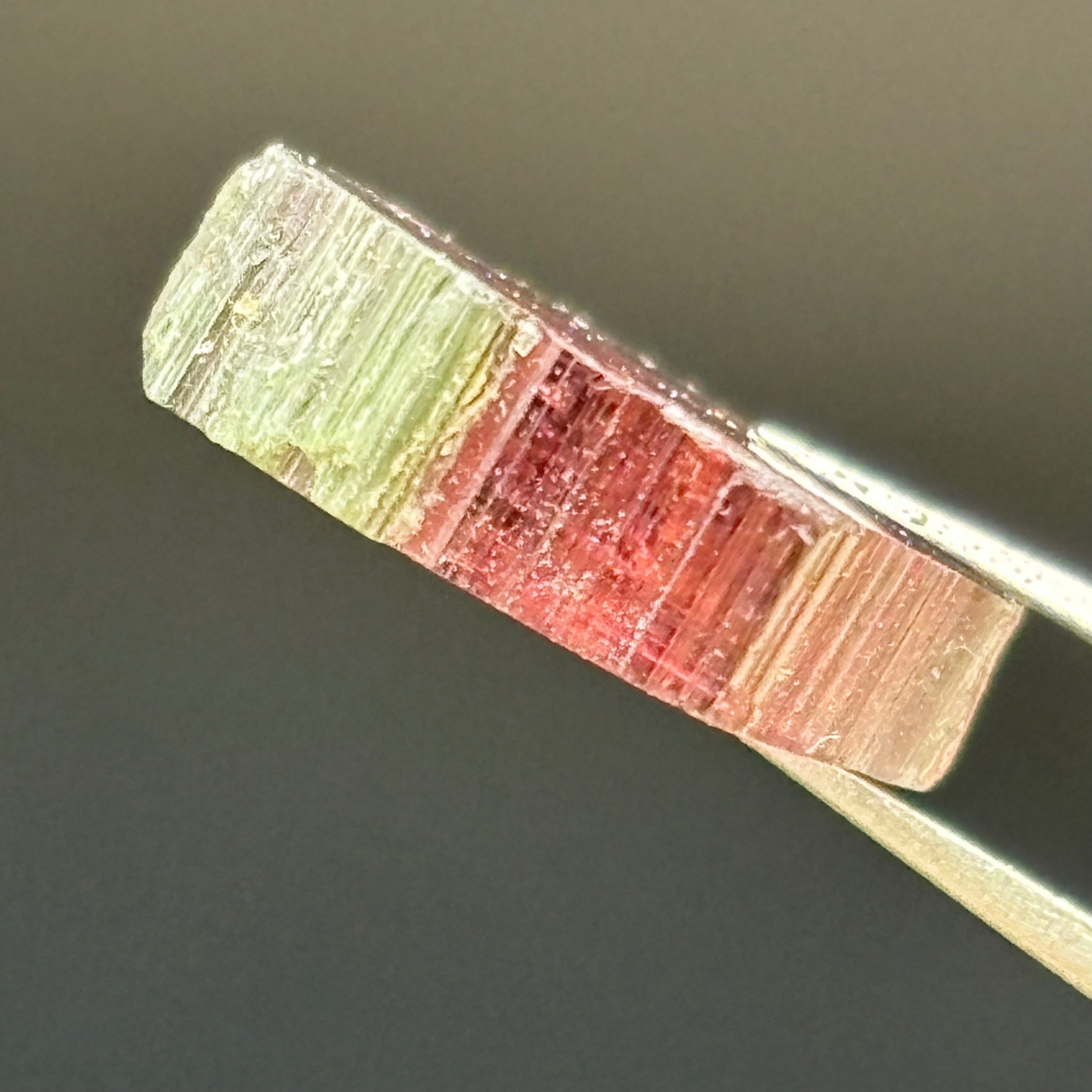 Watermelon Tourmaline Crystal Slice - 018