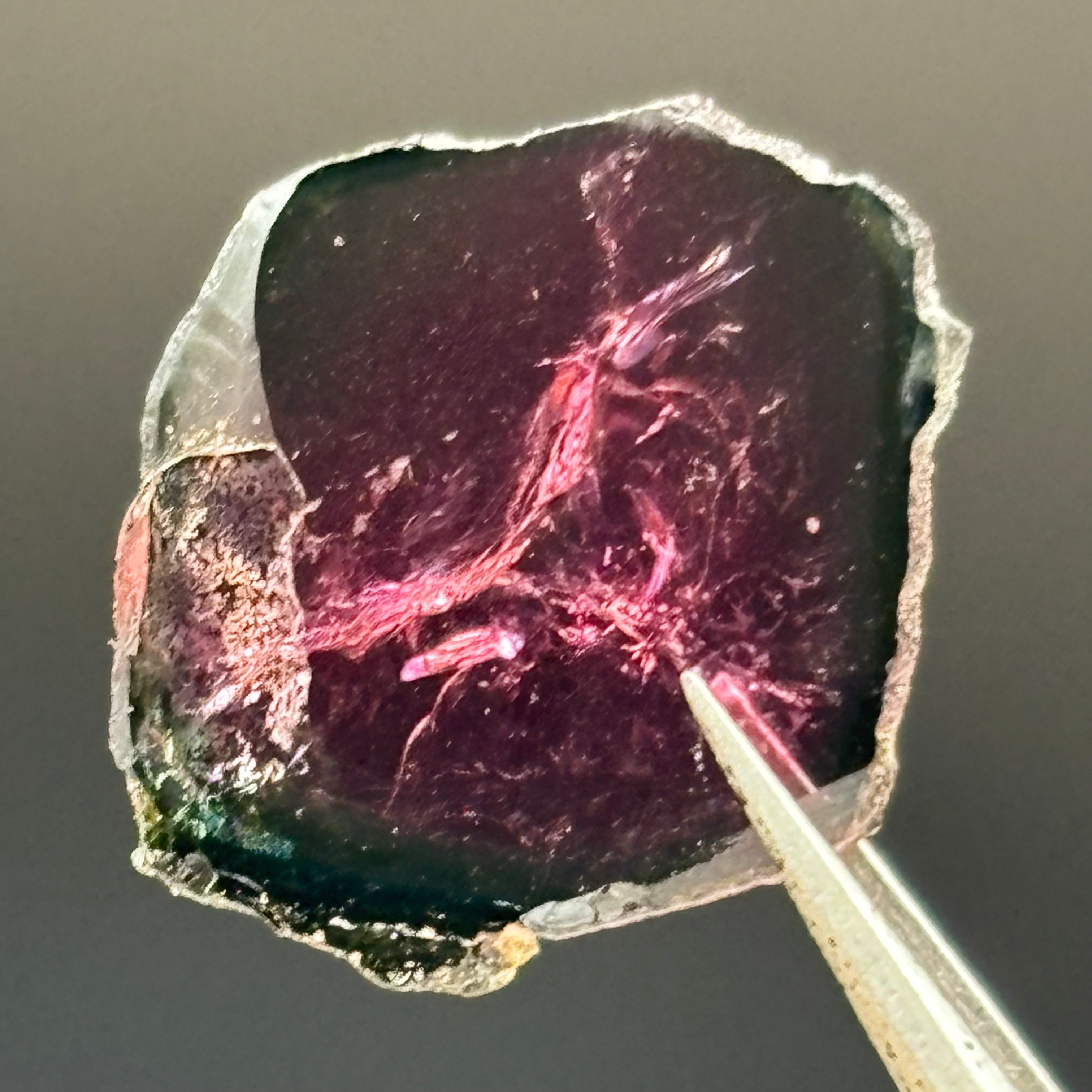 Watermelon Tourmaline Crystal Slice - 018