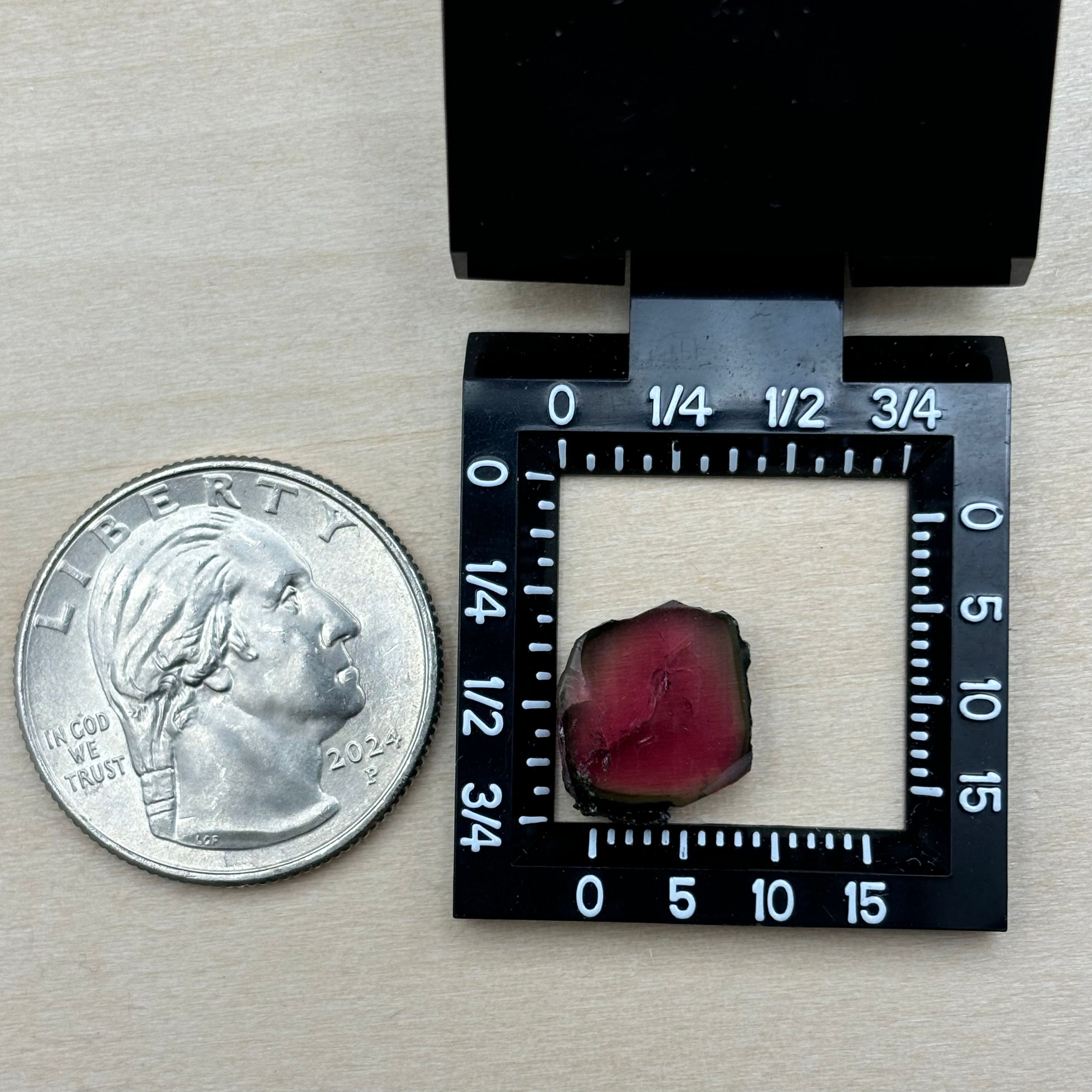 Watermelon Tourmaline Crystal Slice - 018