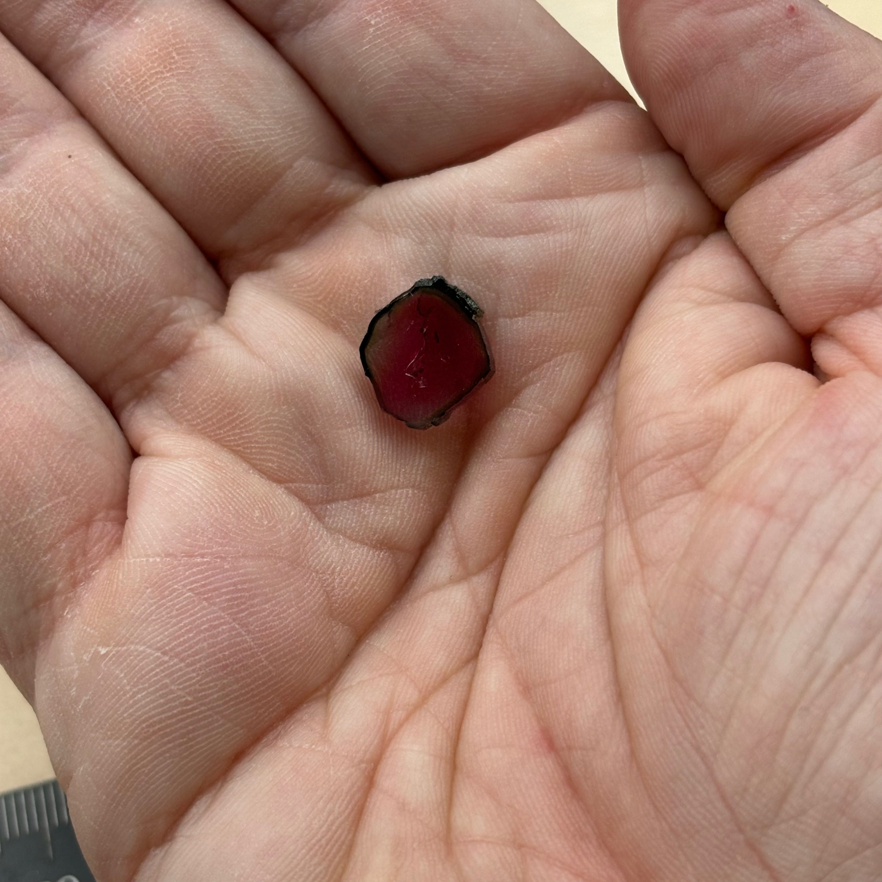 Watermelon Tourmaline Crystal Slice - 018