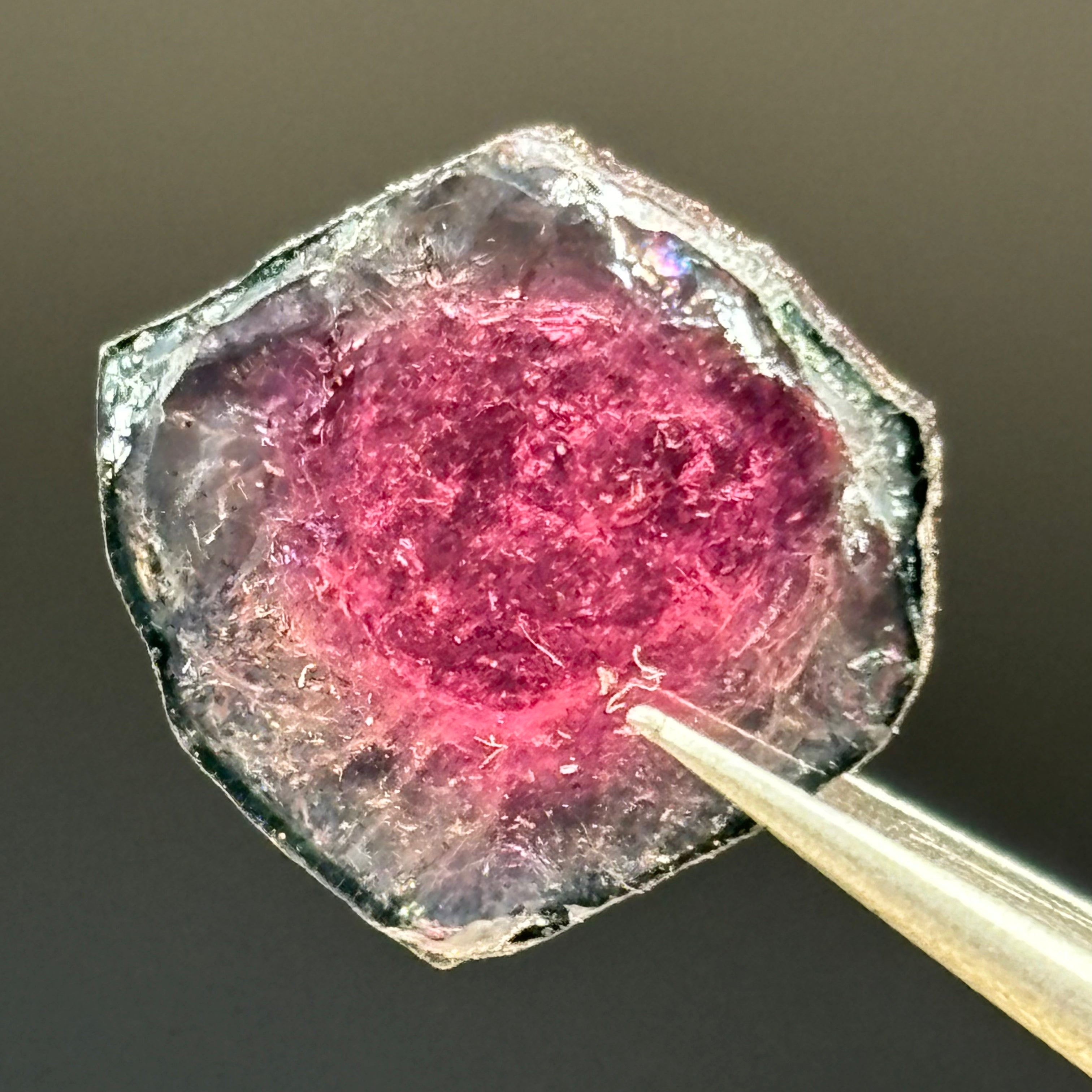 Watermelon Tourmaline Crystal Slice - 019