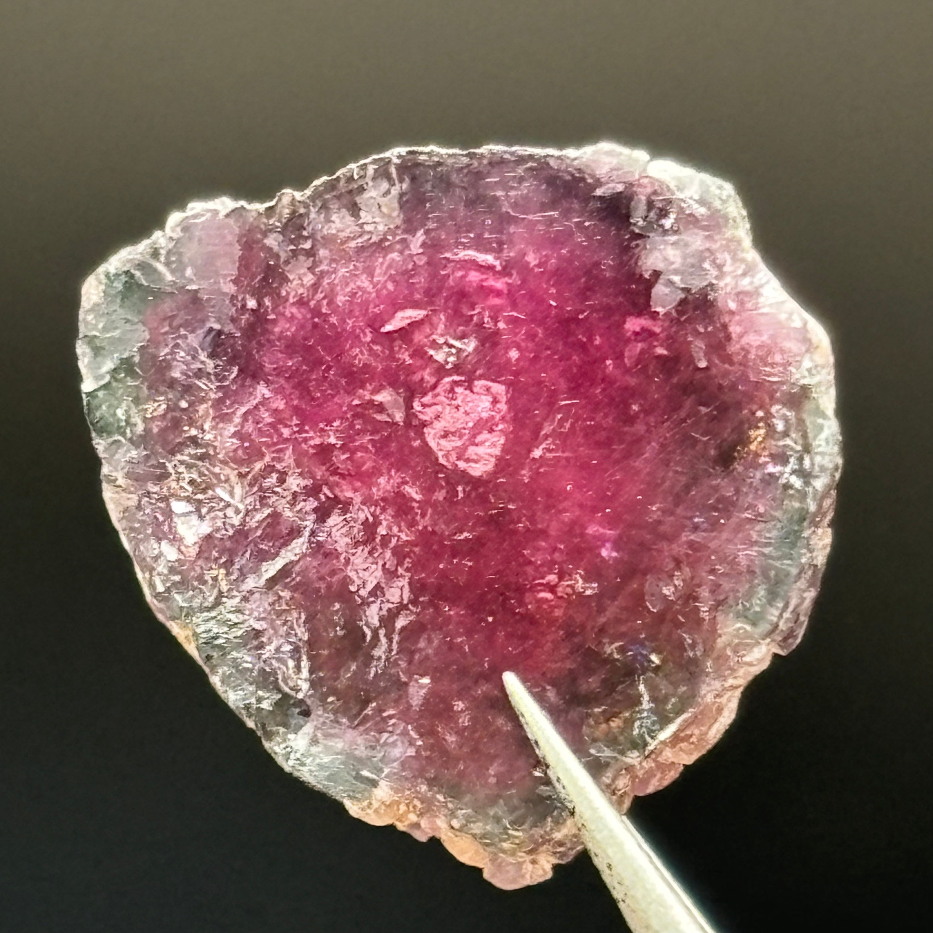 Watermelon Tourmaline Crystal Slice - 020