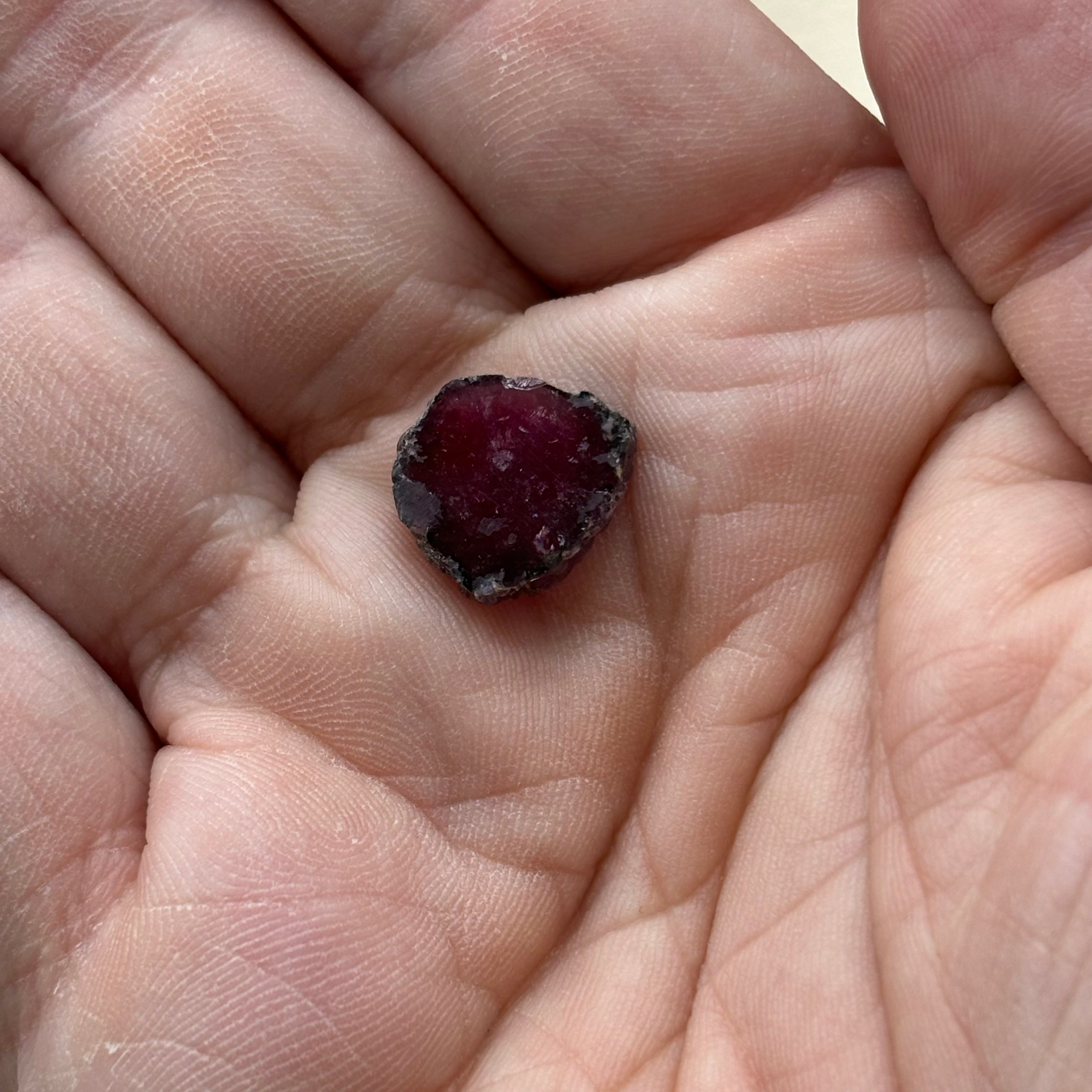 Watermelon Tourmaline Crystal Slice - 020