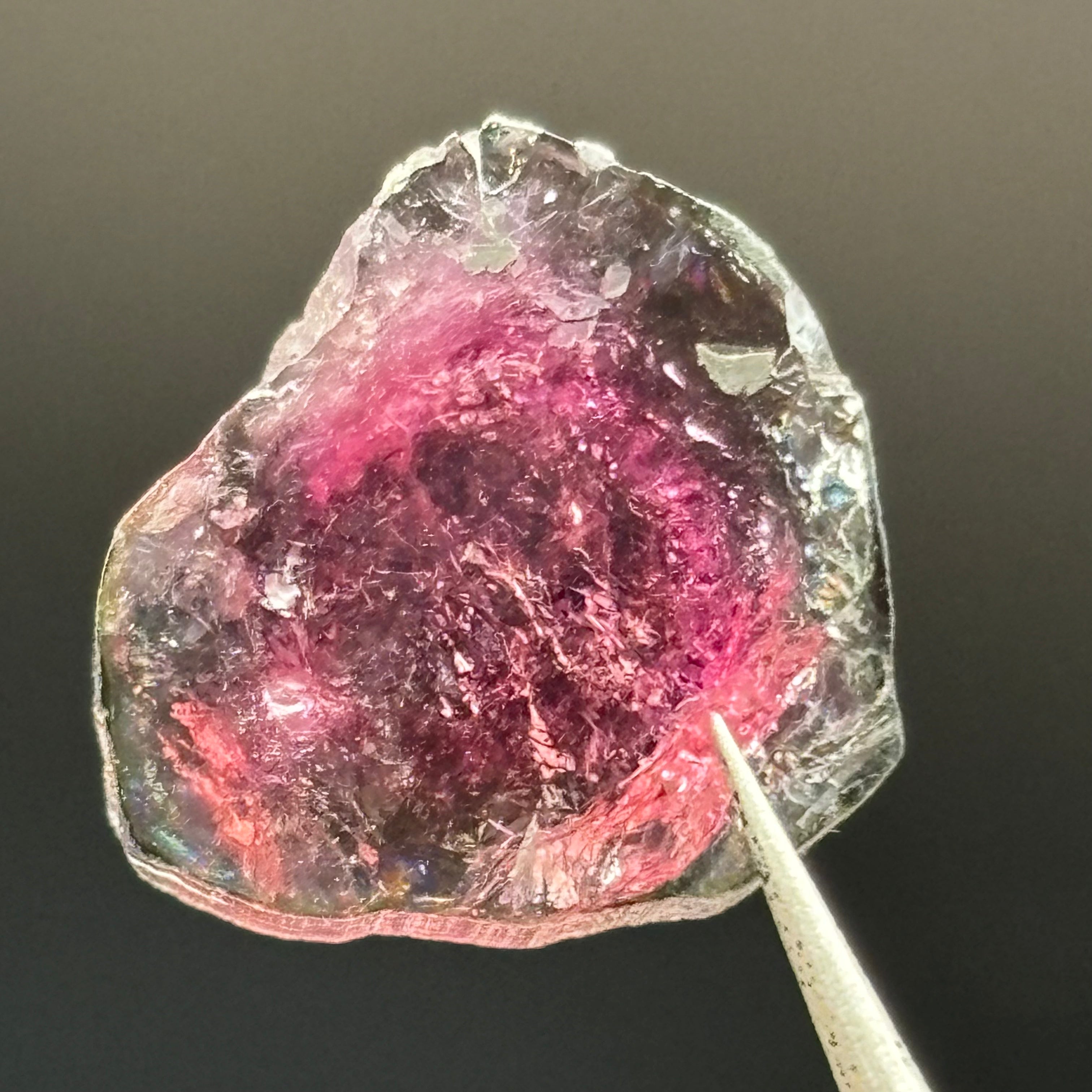 Watermelon Tourmaline Crystal Slice - 021