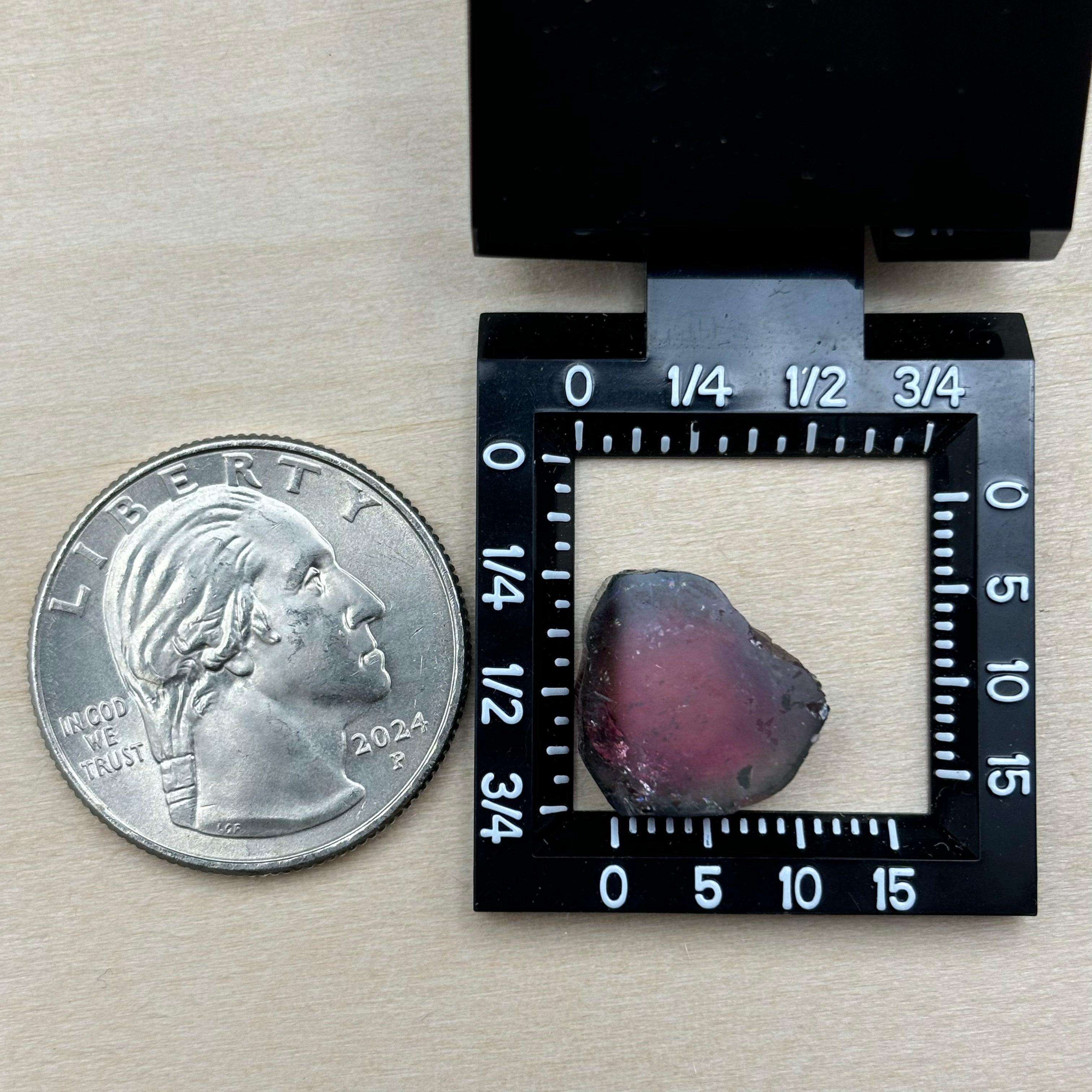 Watermelon Tourmaline Crystal Slice - 021