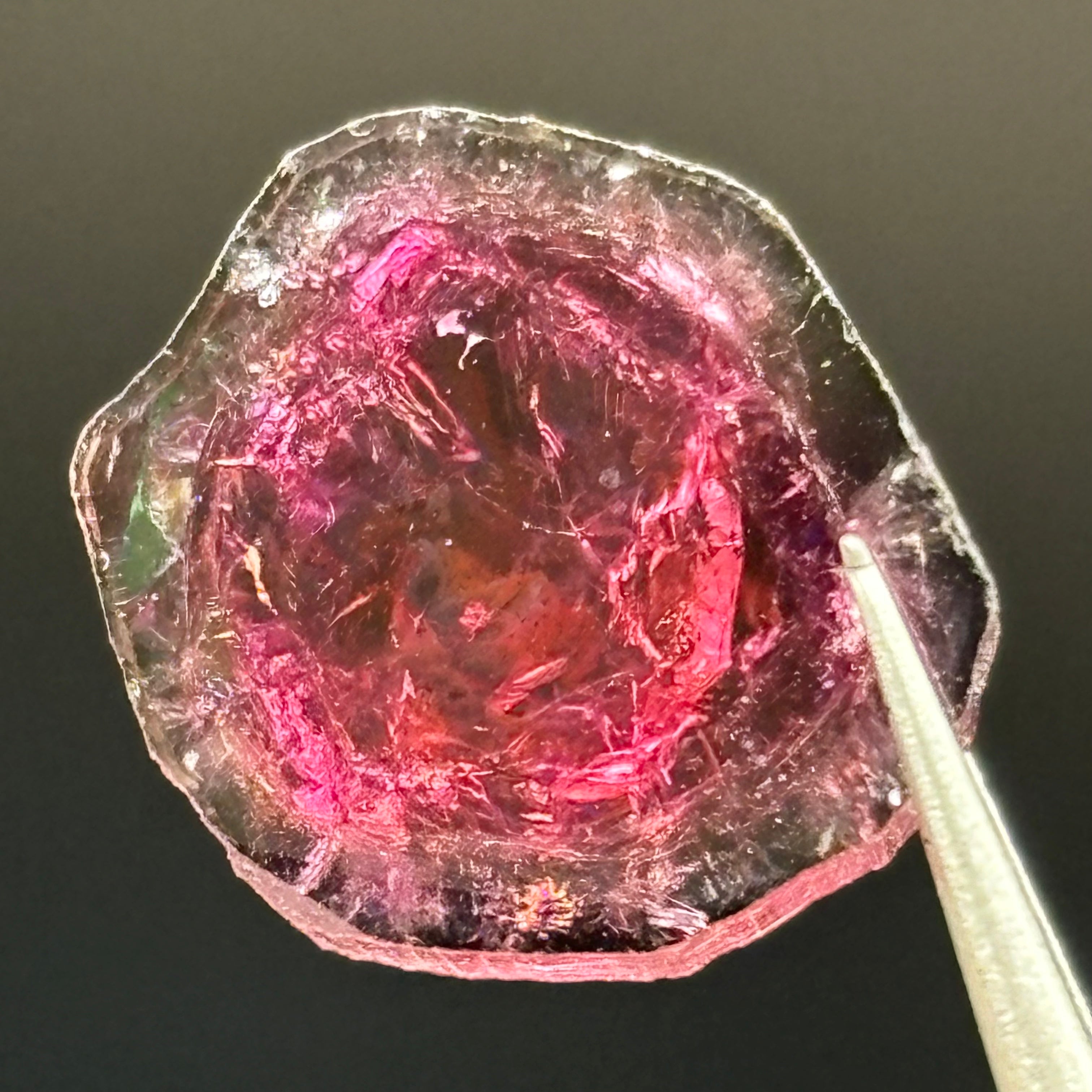 Watermelon Tourmaline Crystal Slice - 022