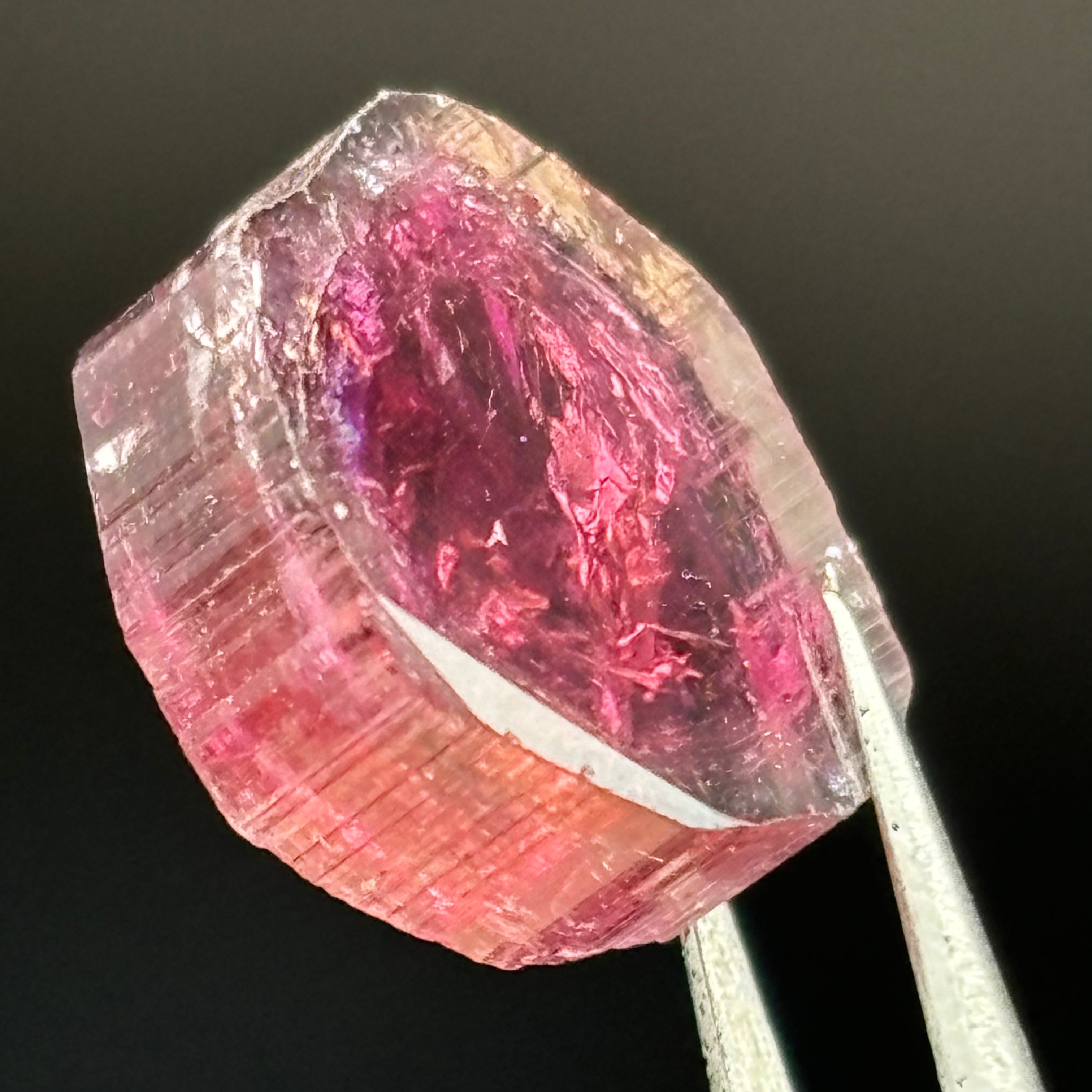 Watermelon Tourmaline Crystal Slice - 022