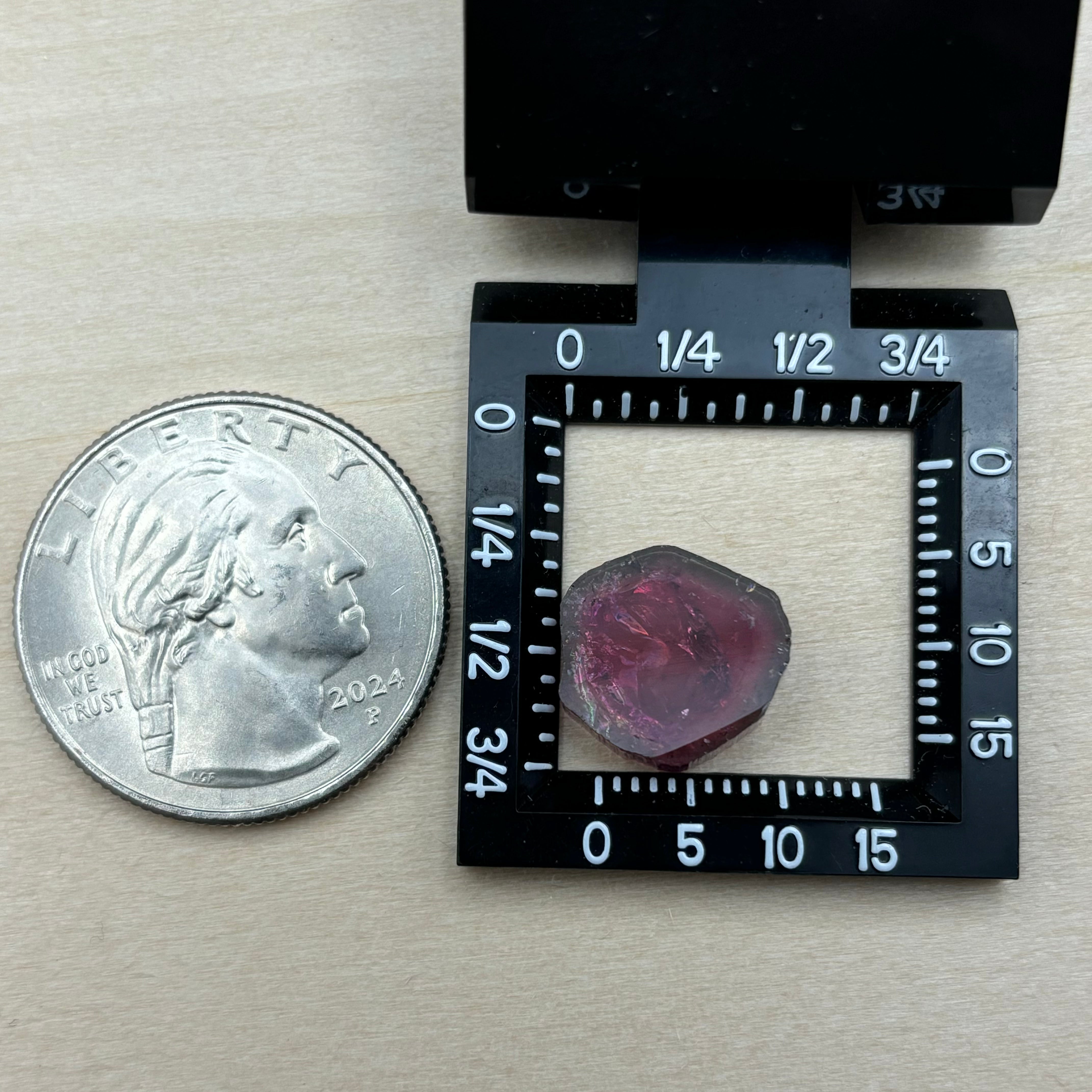 Watermelon Tourmaline Crystal Slice - 022
