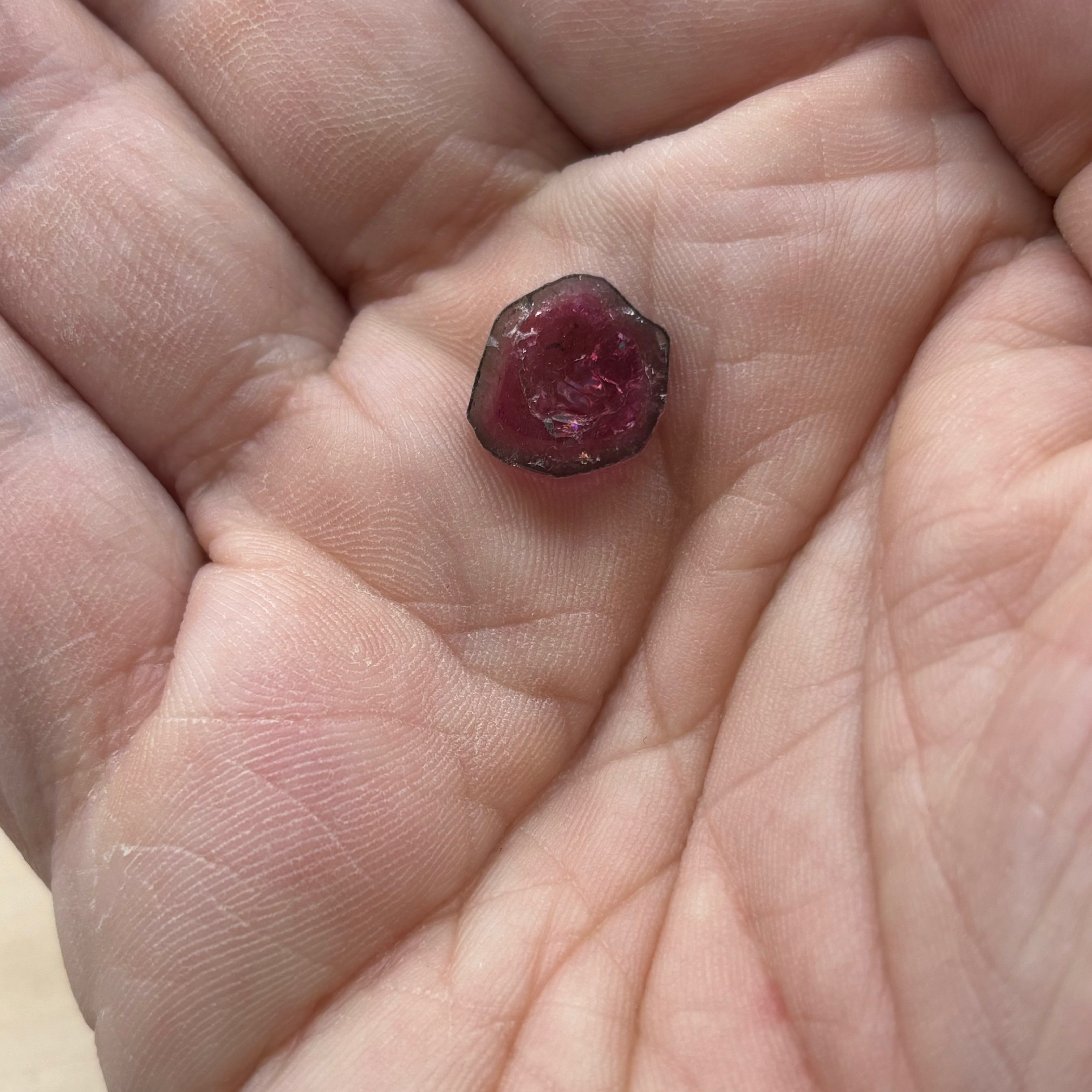 Watermelon Tourmaline Crystal Slice - 022