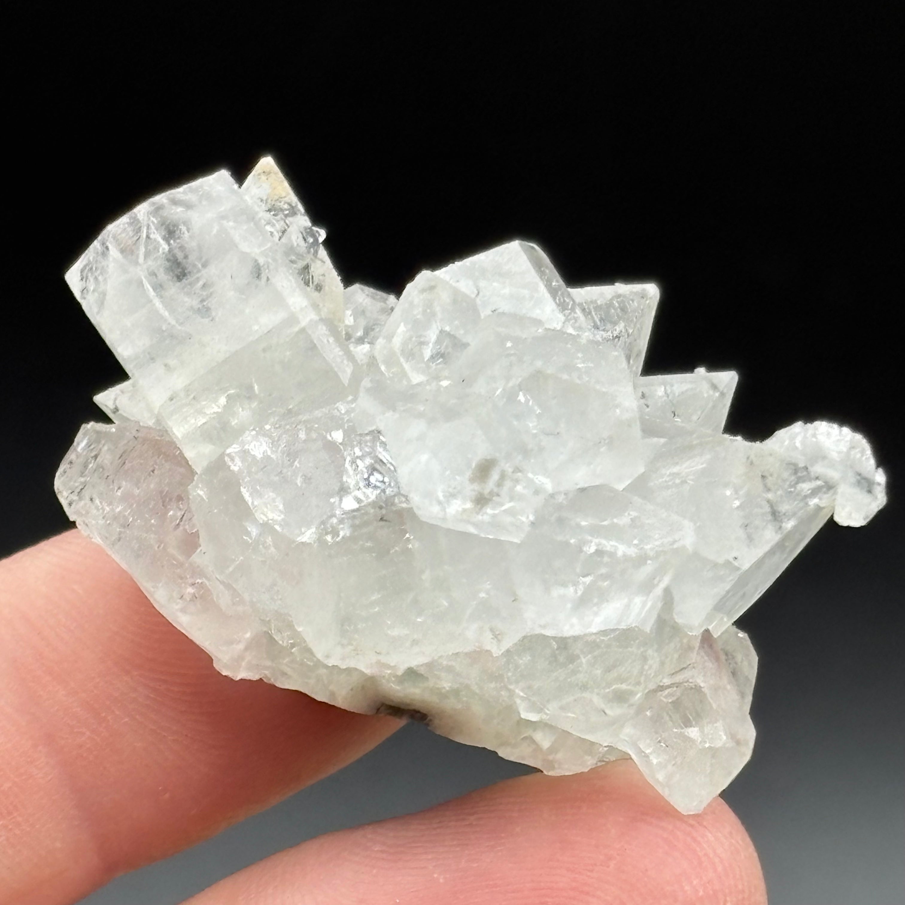 Apophyllite Crystal - 847
