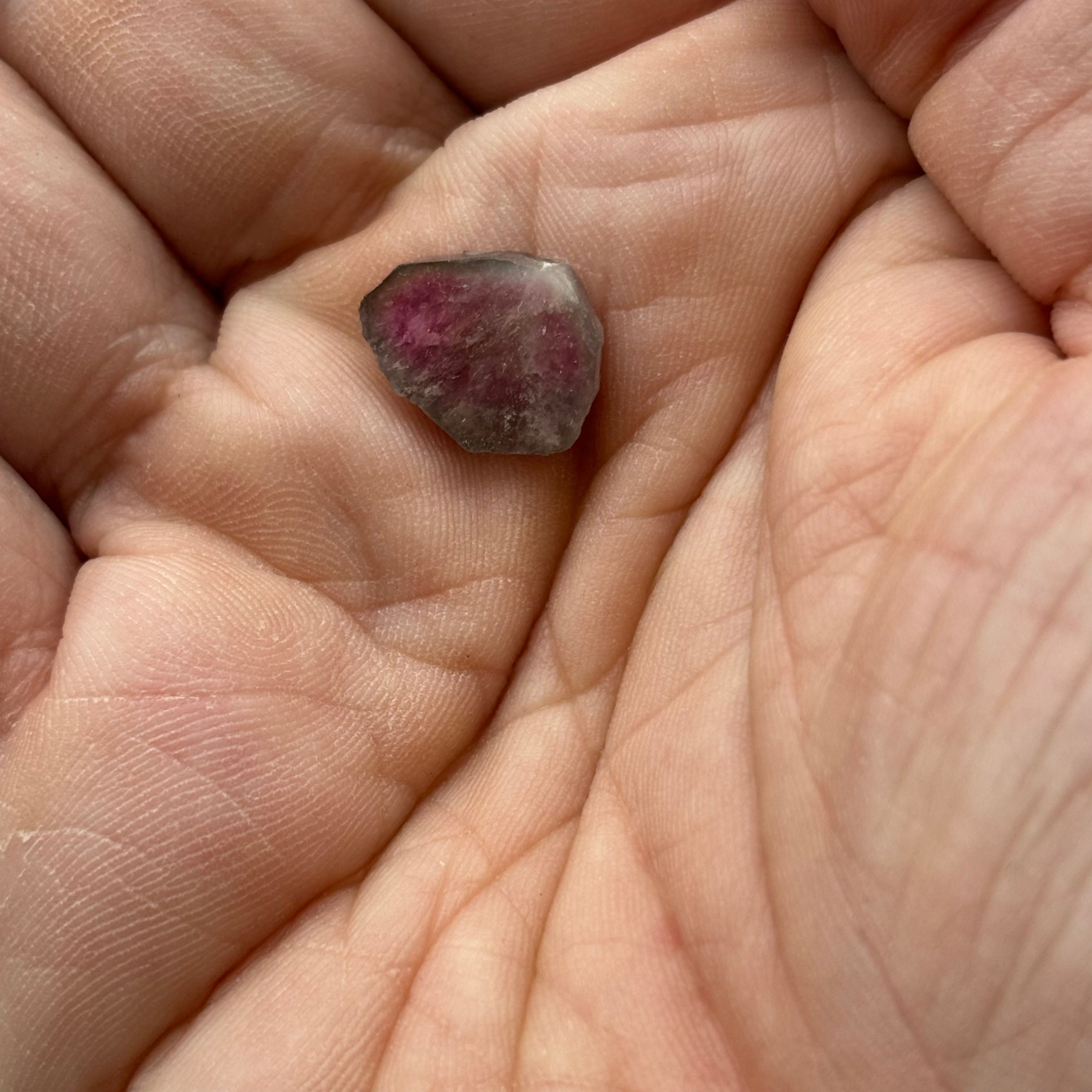 Watermelon Tourmaline Crystal Slice - 036