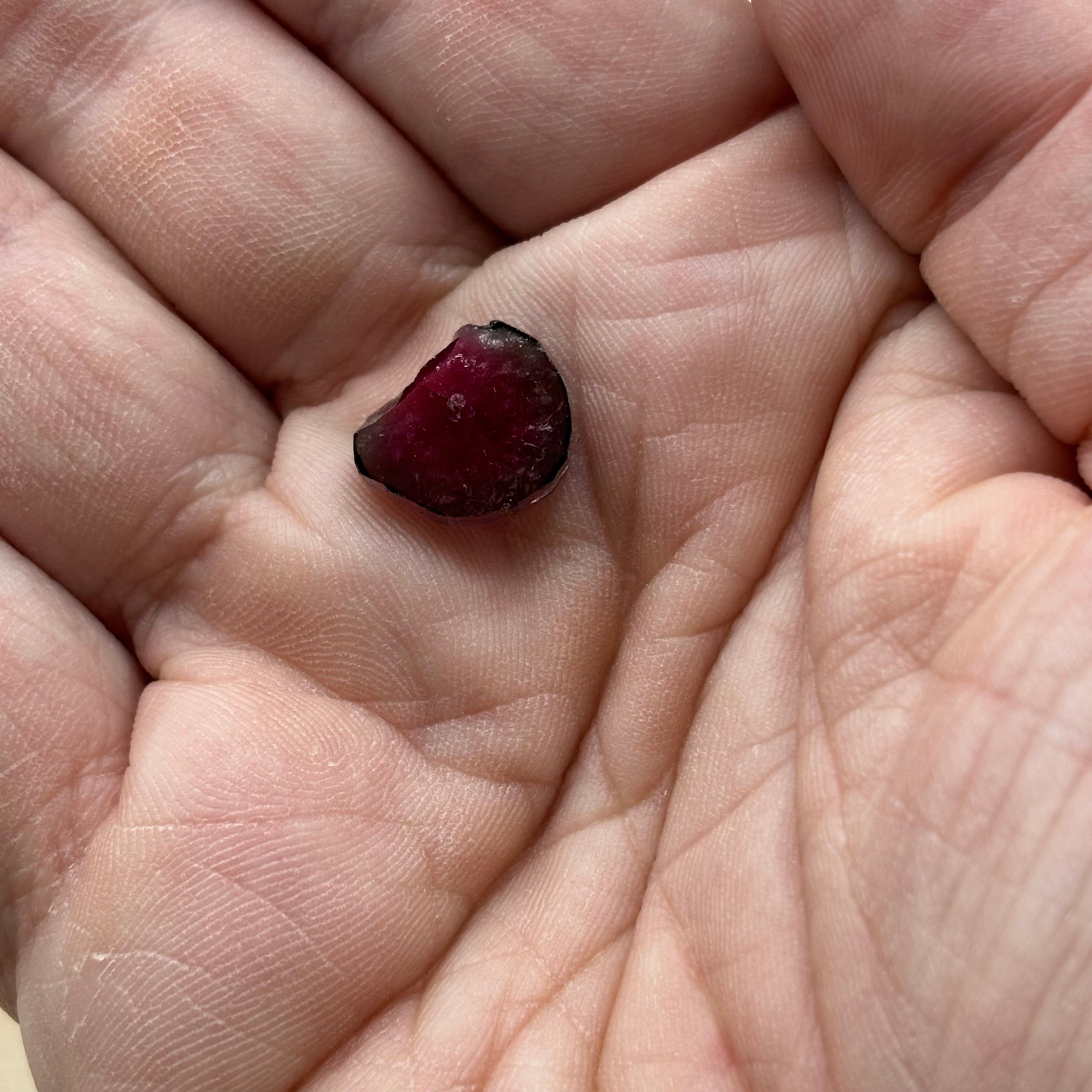 Watermelon Tourmaline Crystal Slice - 038