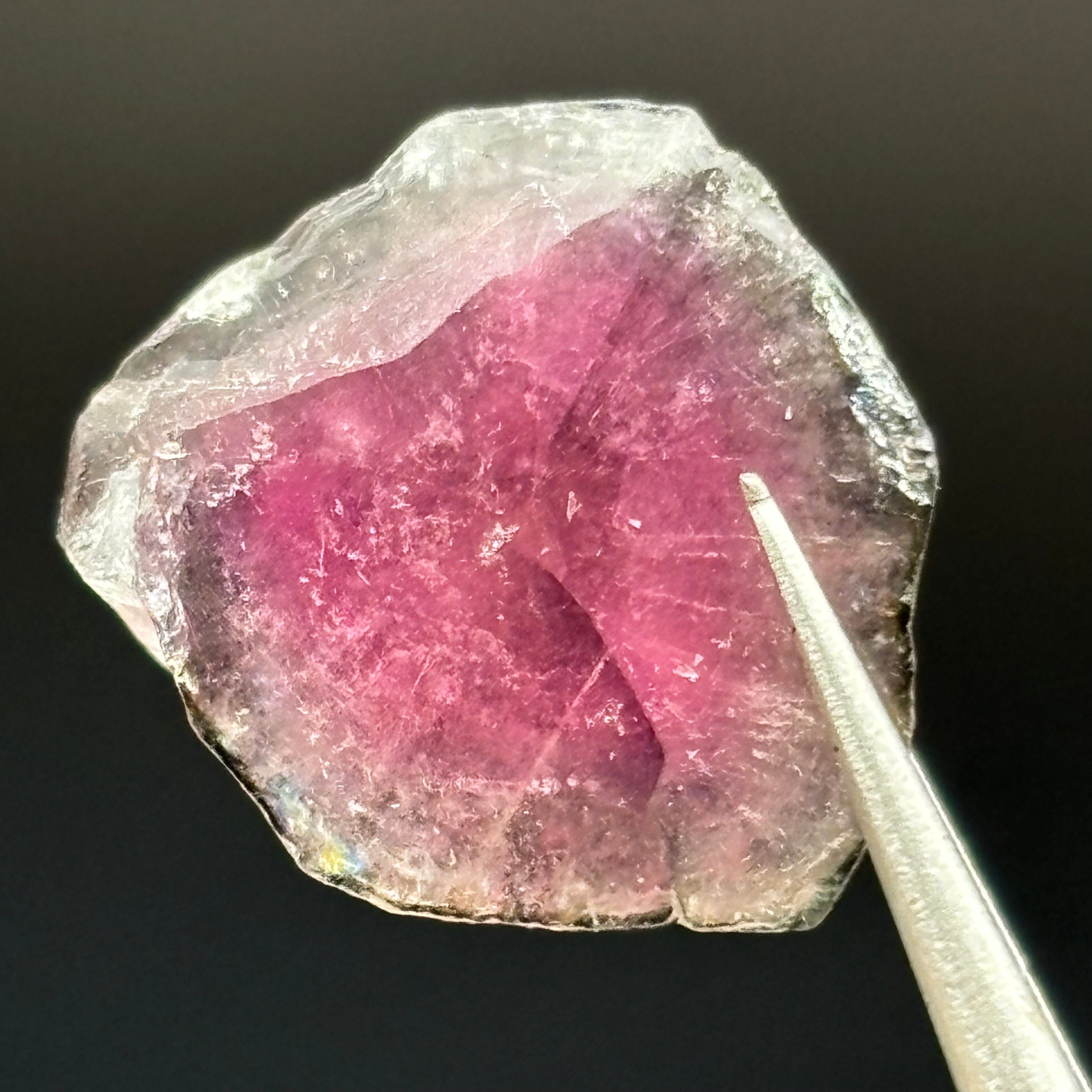 Watermelon Tourmaline Crystal Slice - 041