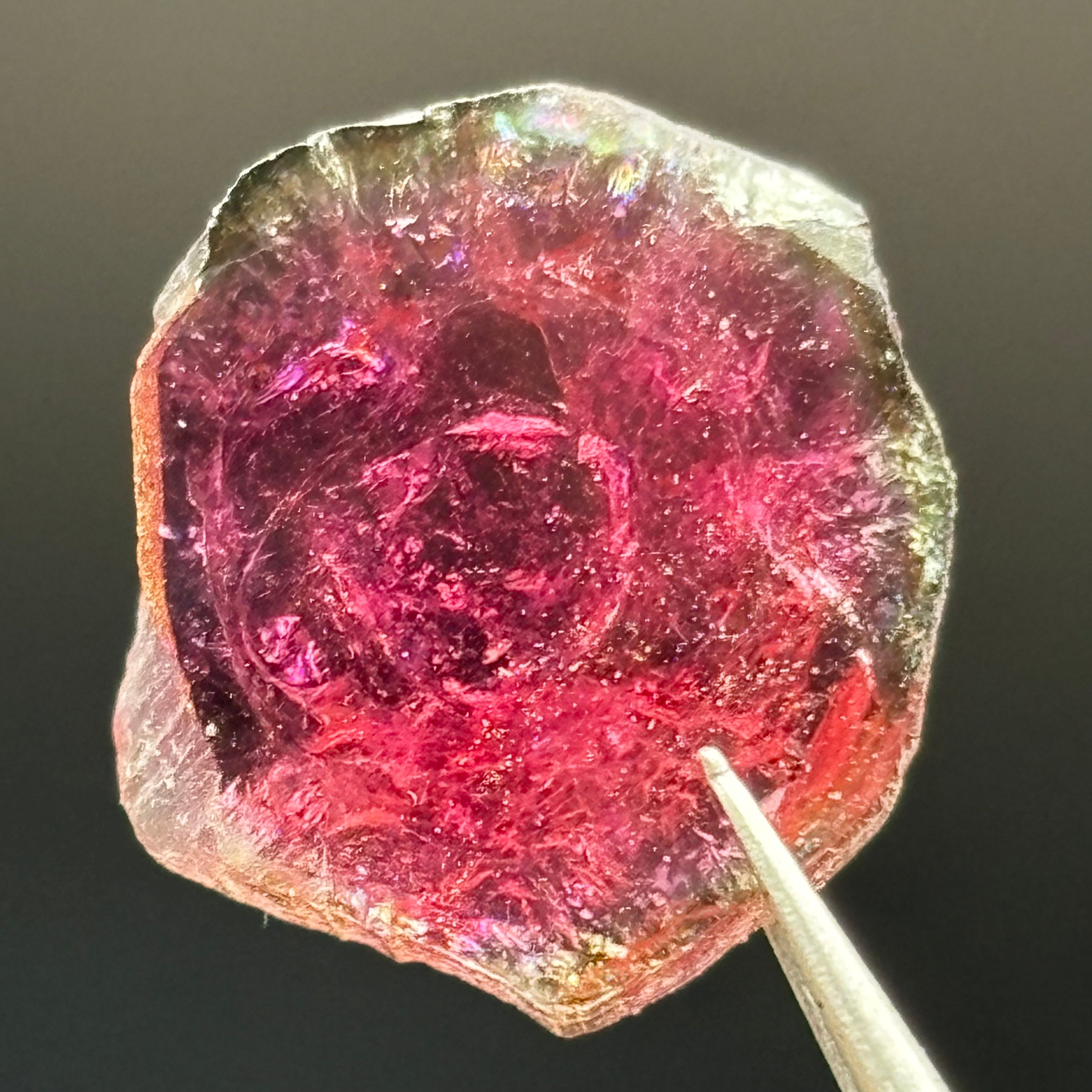 Watermelon Tourmaline Crystal Slice - 051