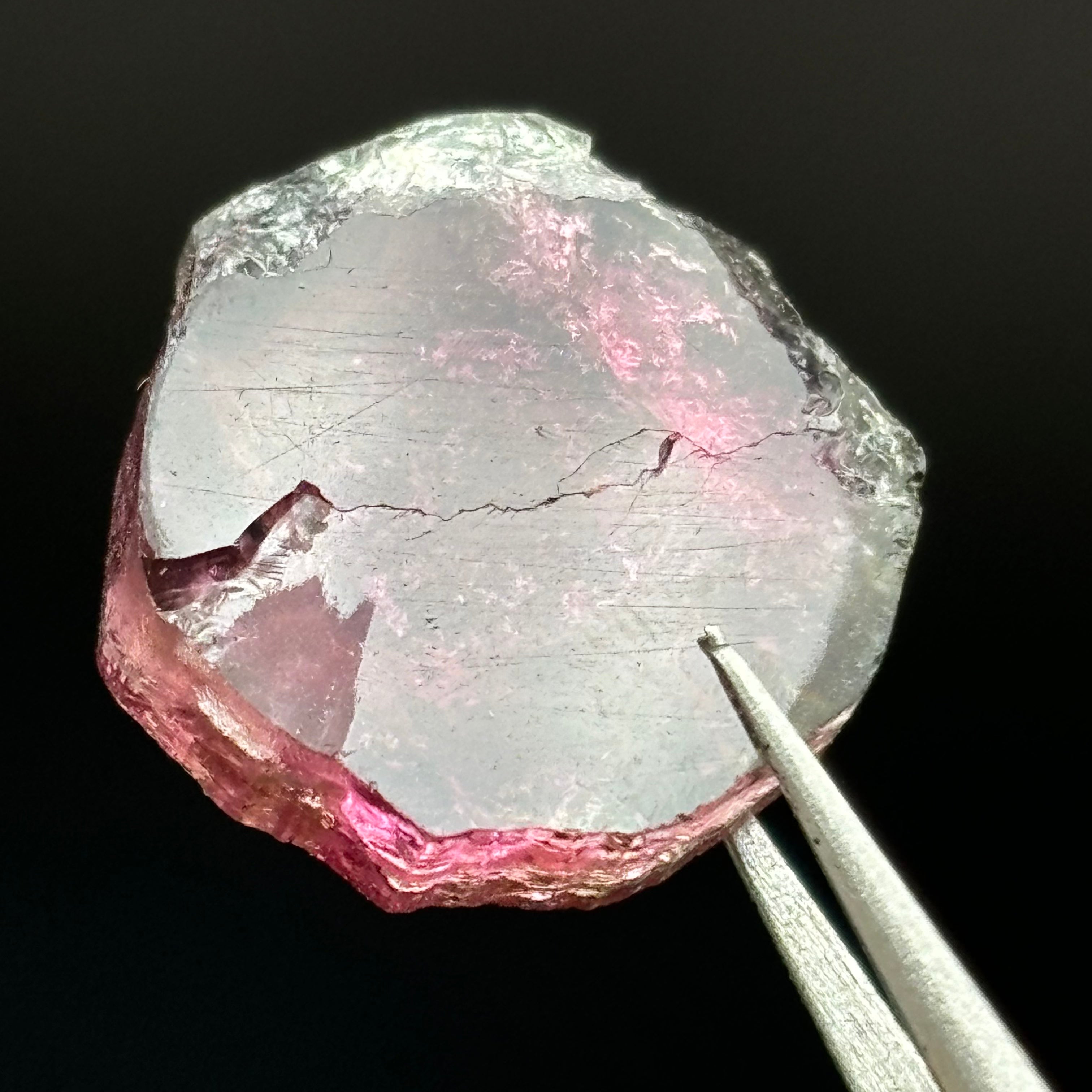 Watermelon Tourmaline Crystal Slice - 052