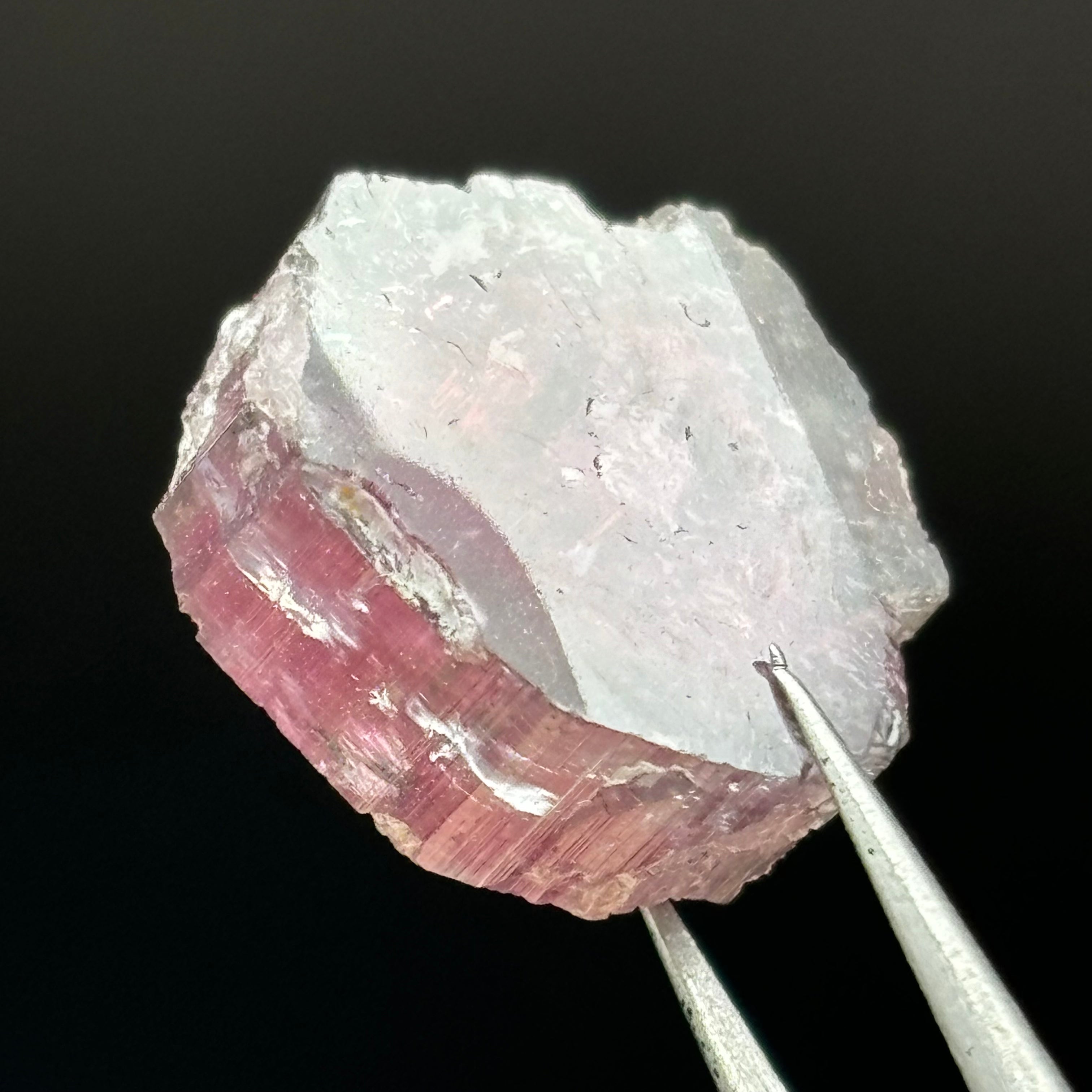 Watermelon Tourmaline Crystal Slice - 053