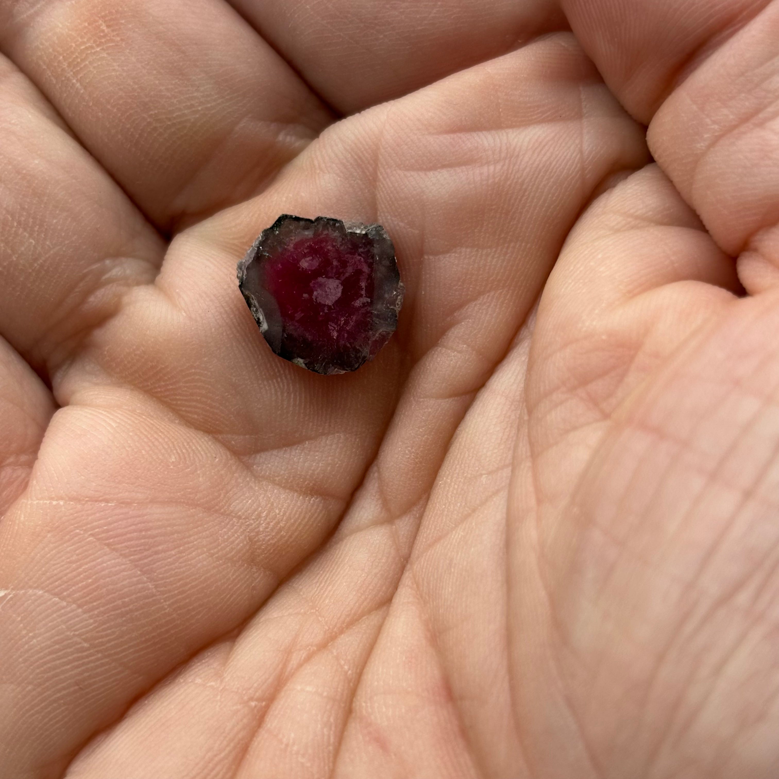 Watermelon Tourmaline Crystal Slice - 053