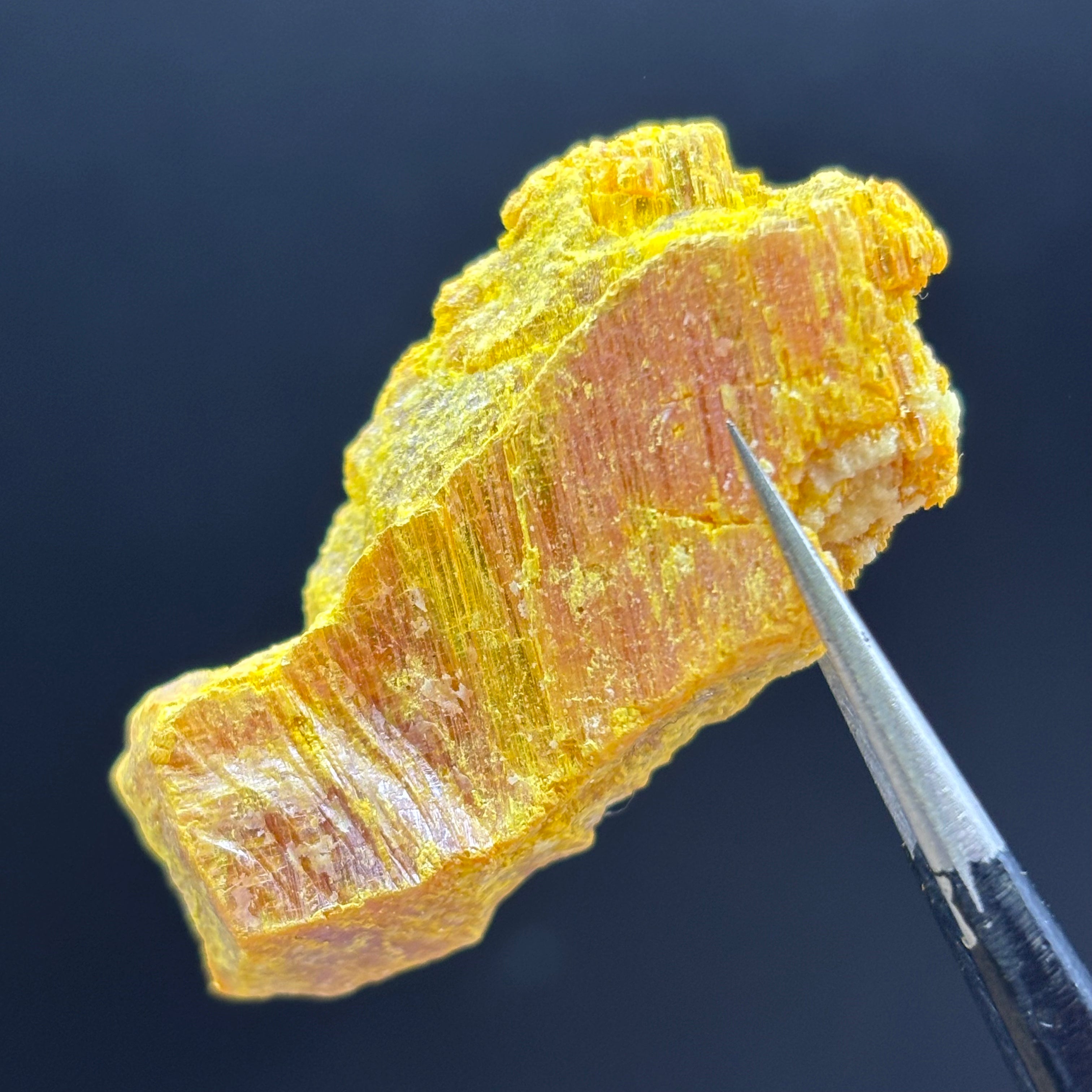 Siberian Orpiment - 076