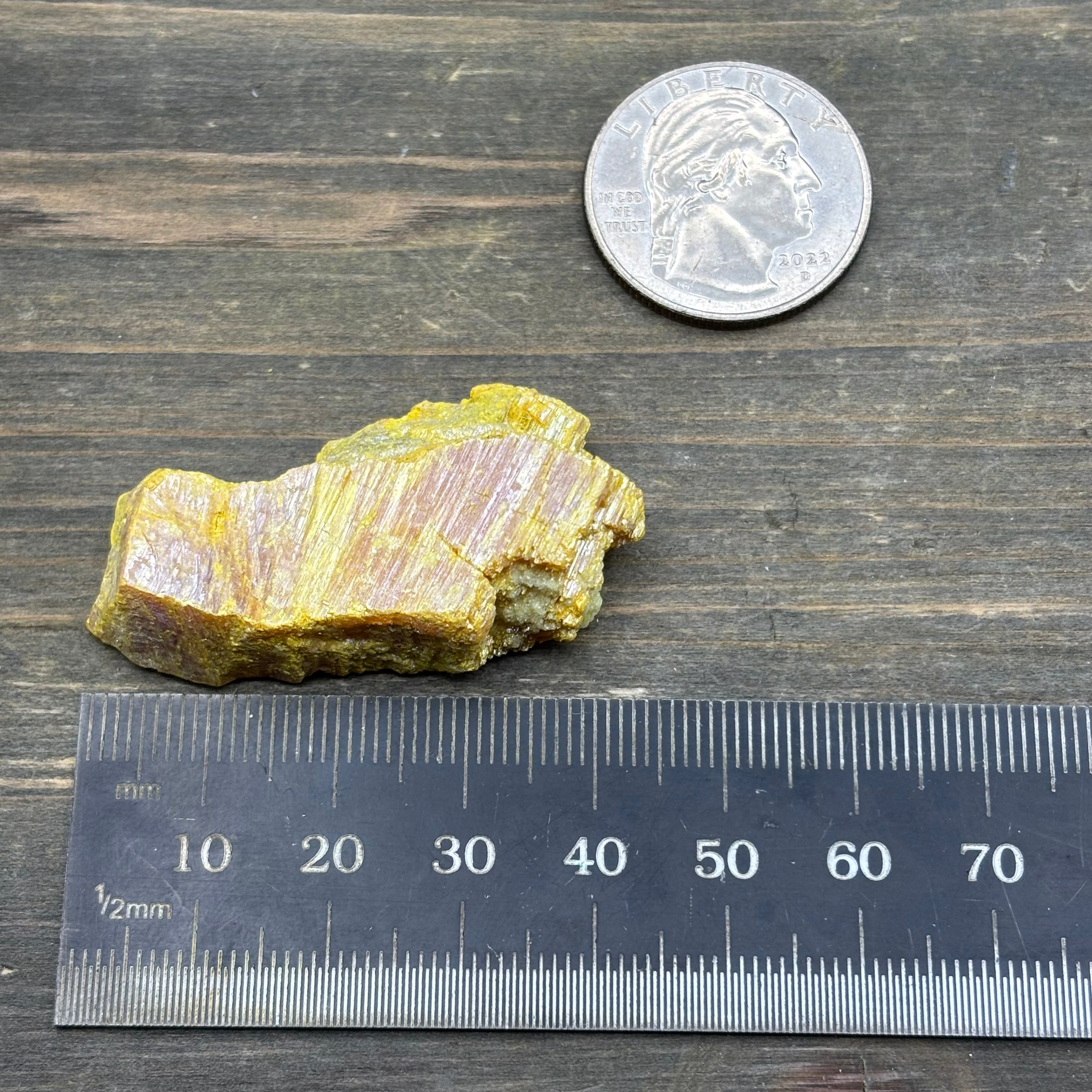 Siberian Orpiment - 076