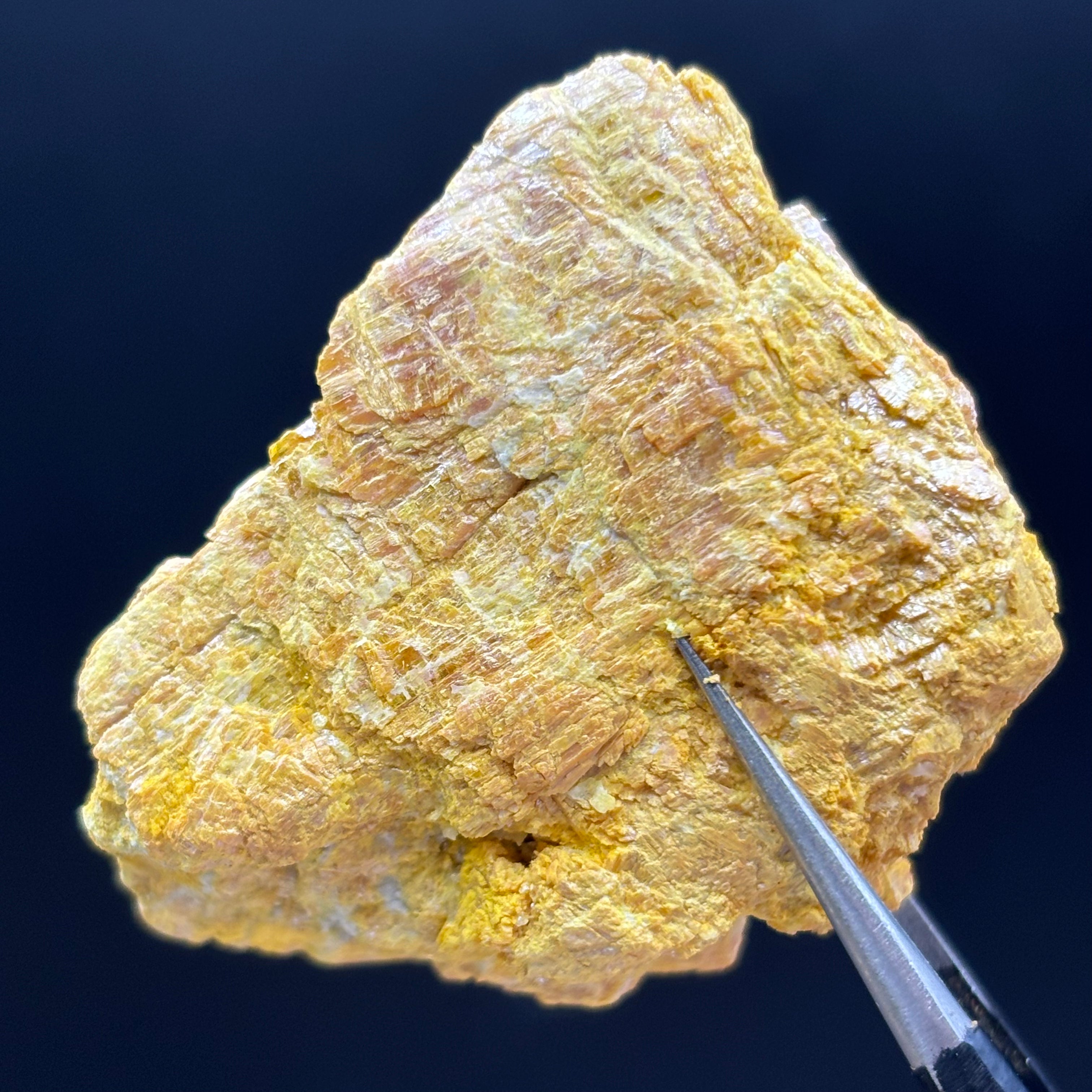 Siberian Orpiment - 077