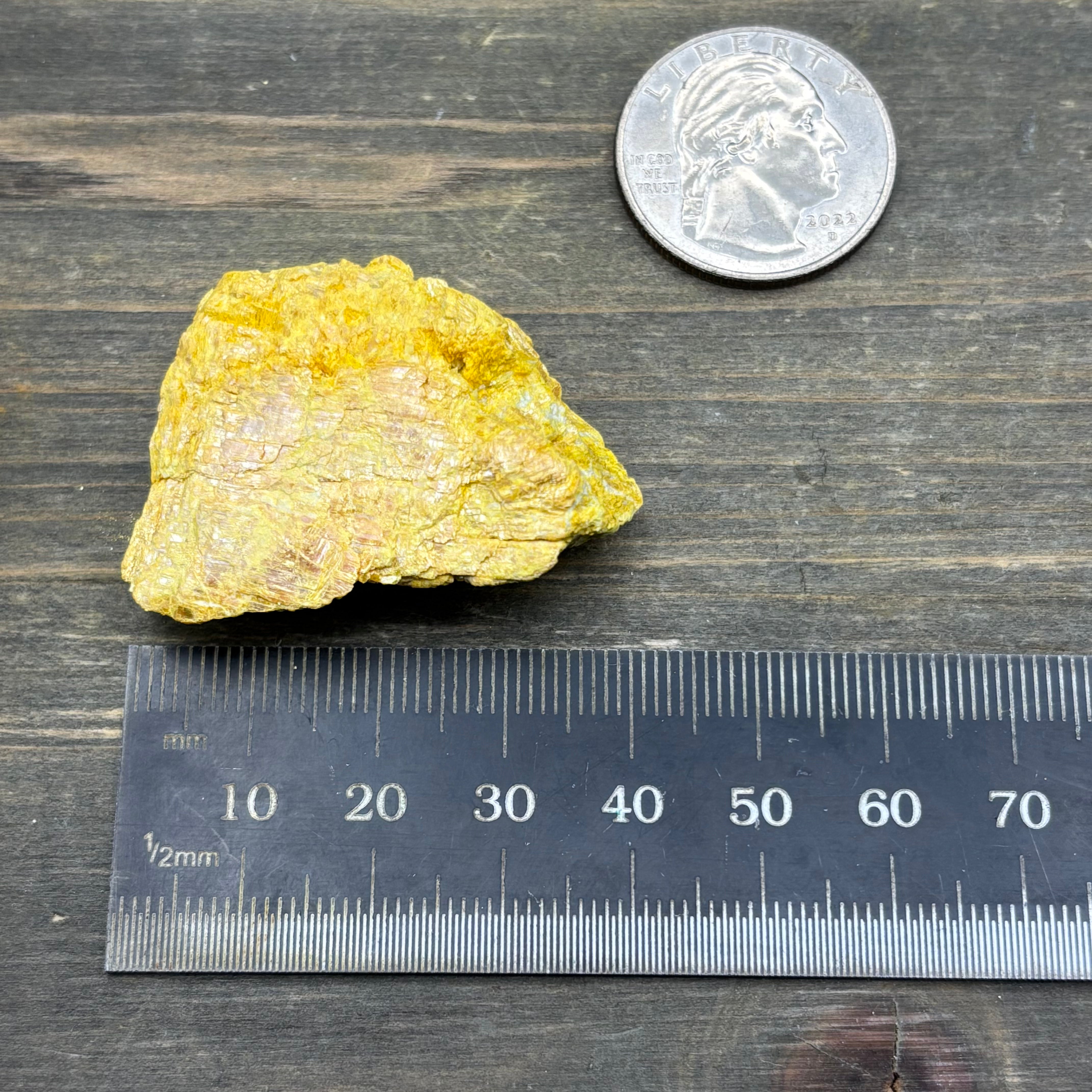 Siberian Orpiment - 077