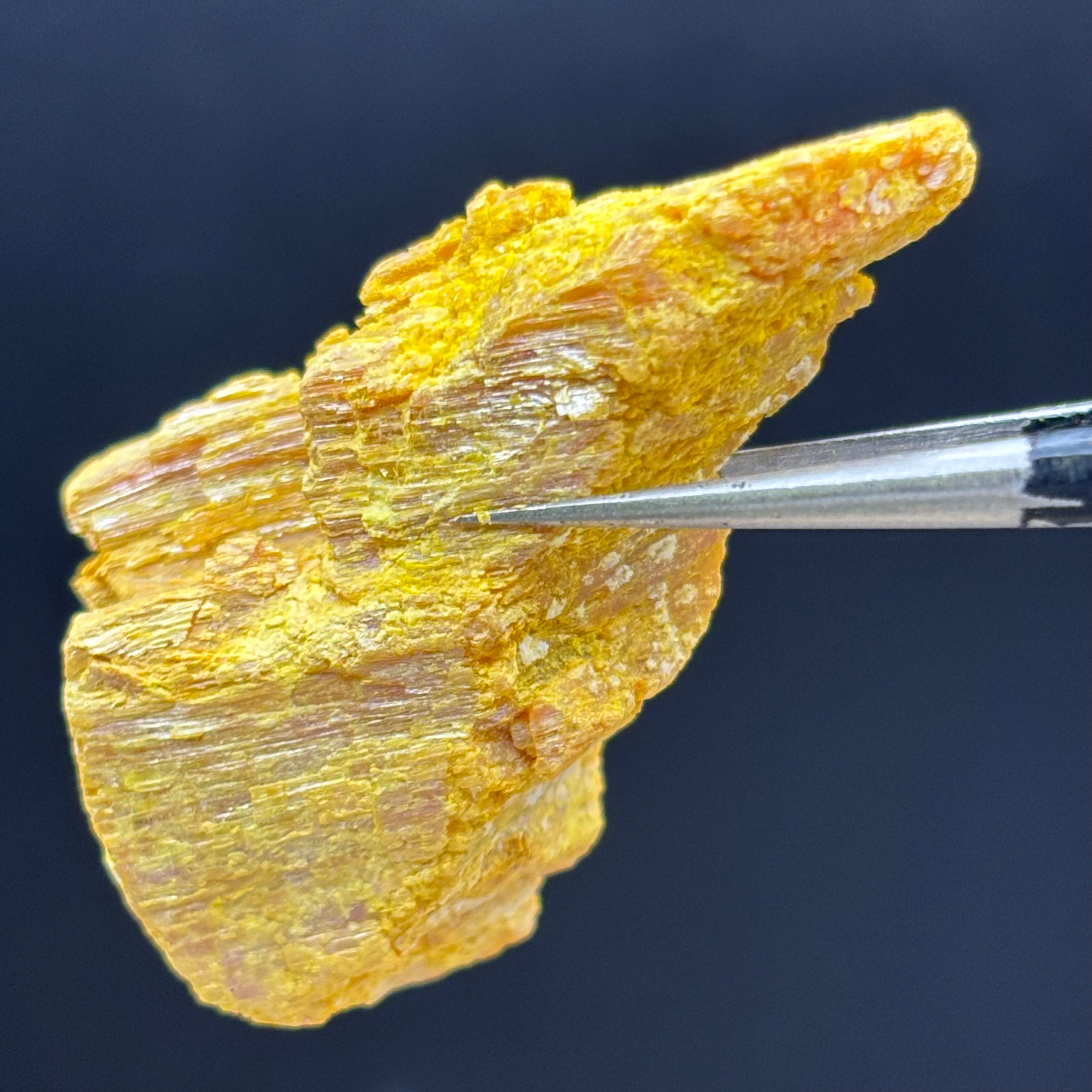 Siberian Orpiment - 080