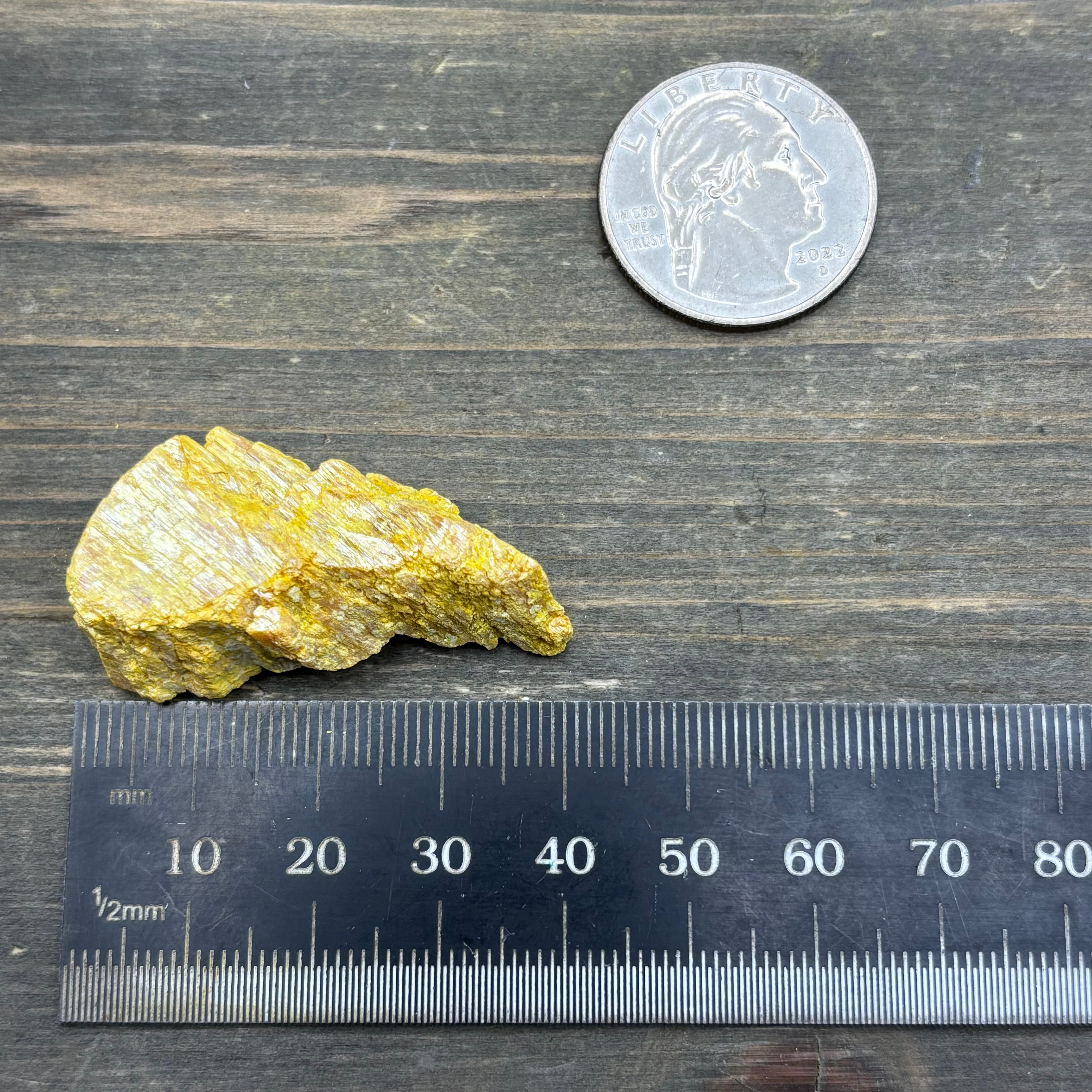 Siberian Orpiment - 080